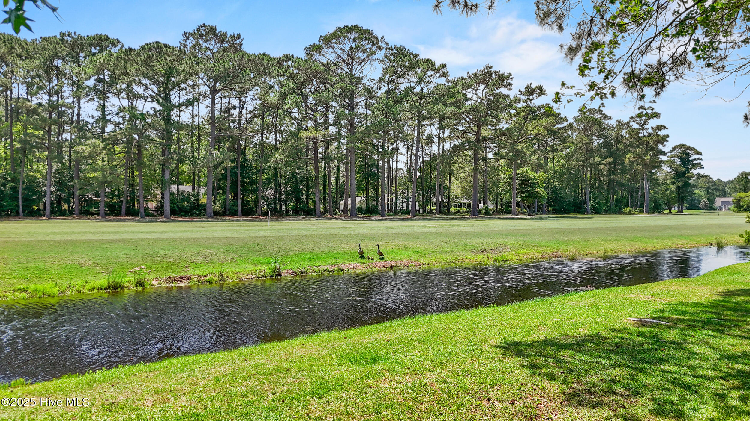 100508108 | Photo 32