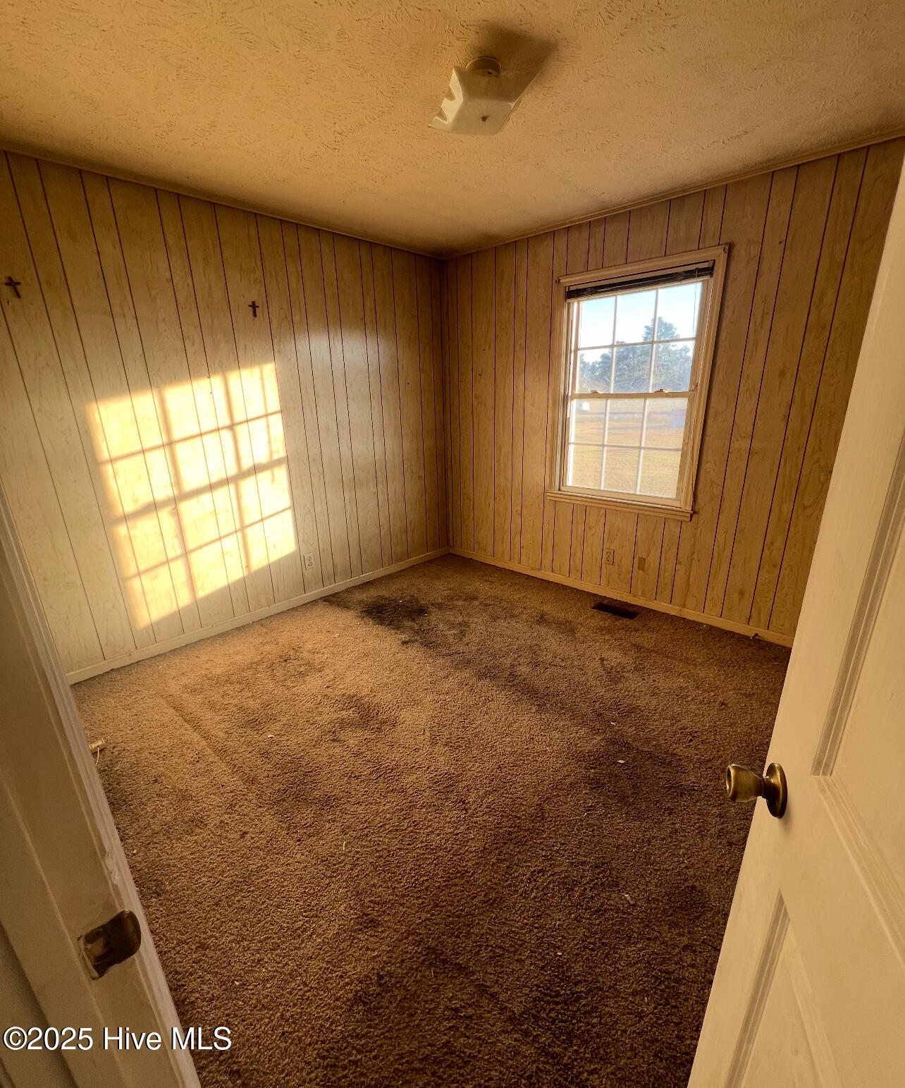 100545246 | Photo 12