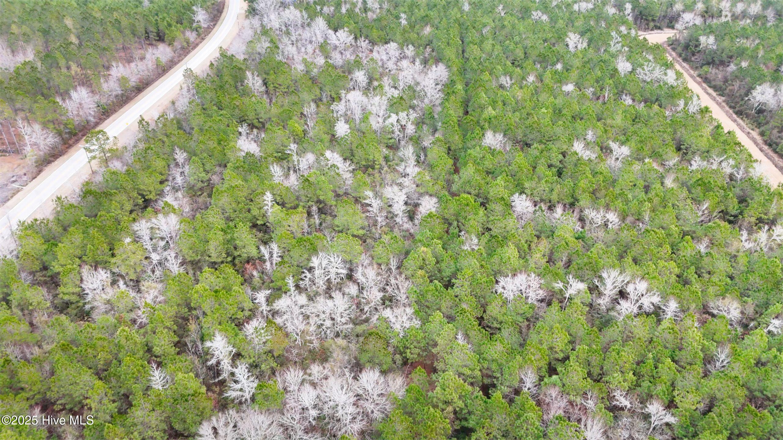 Homes for sale in Havelock, NC | 45 Adams Dr, Havelock, NC 28532 | MLS# 100538157