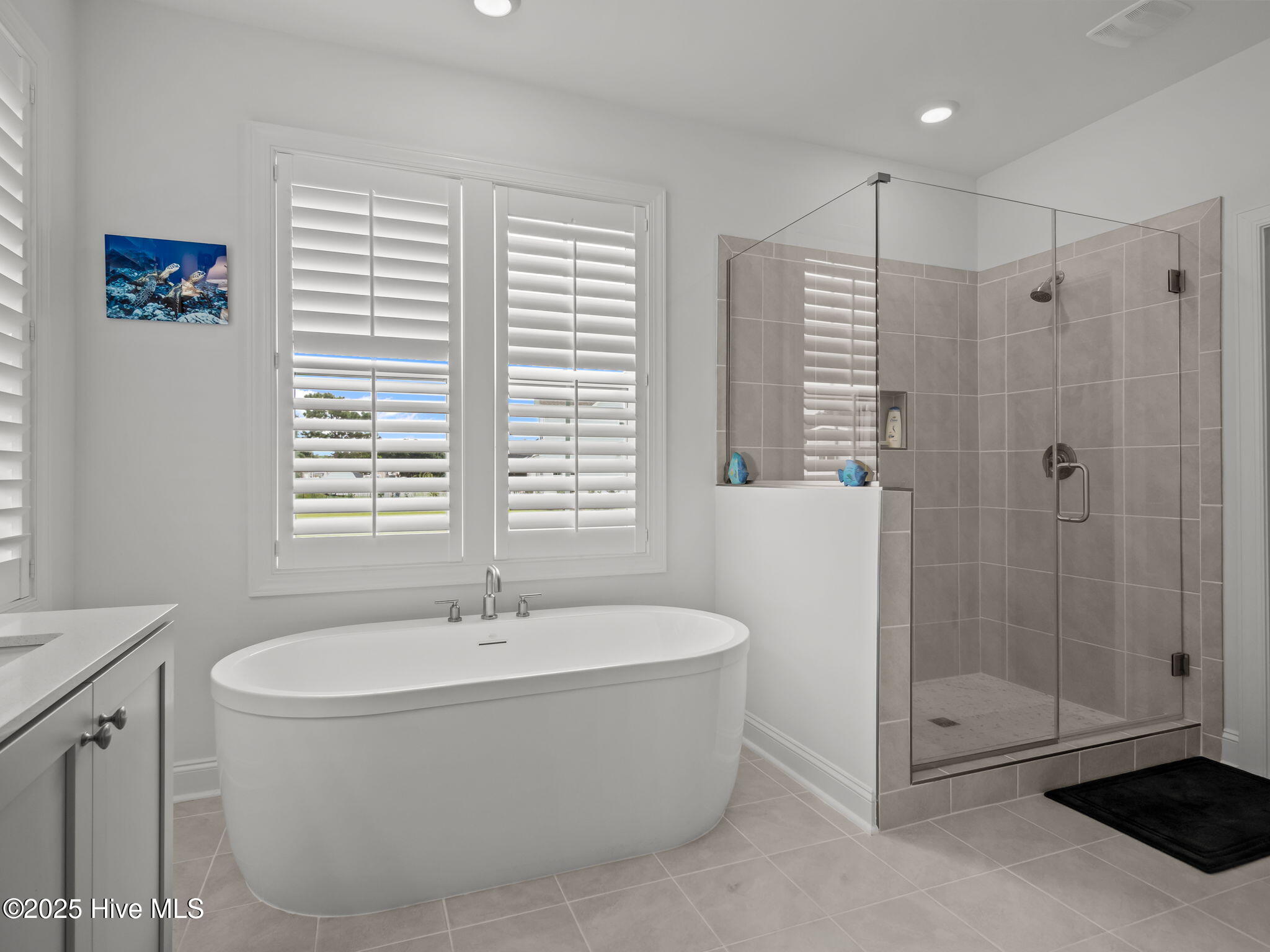 100528285 | Photo 20