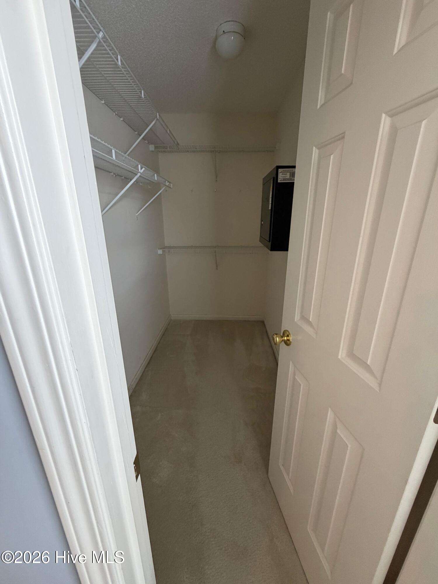 100548019 | Photo 12