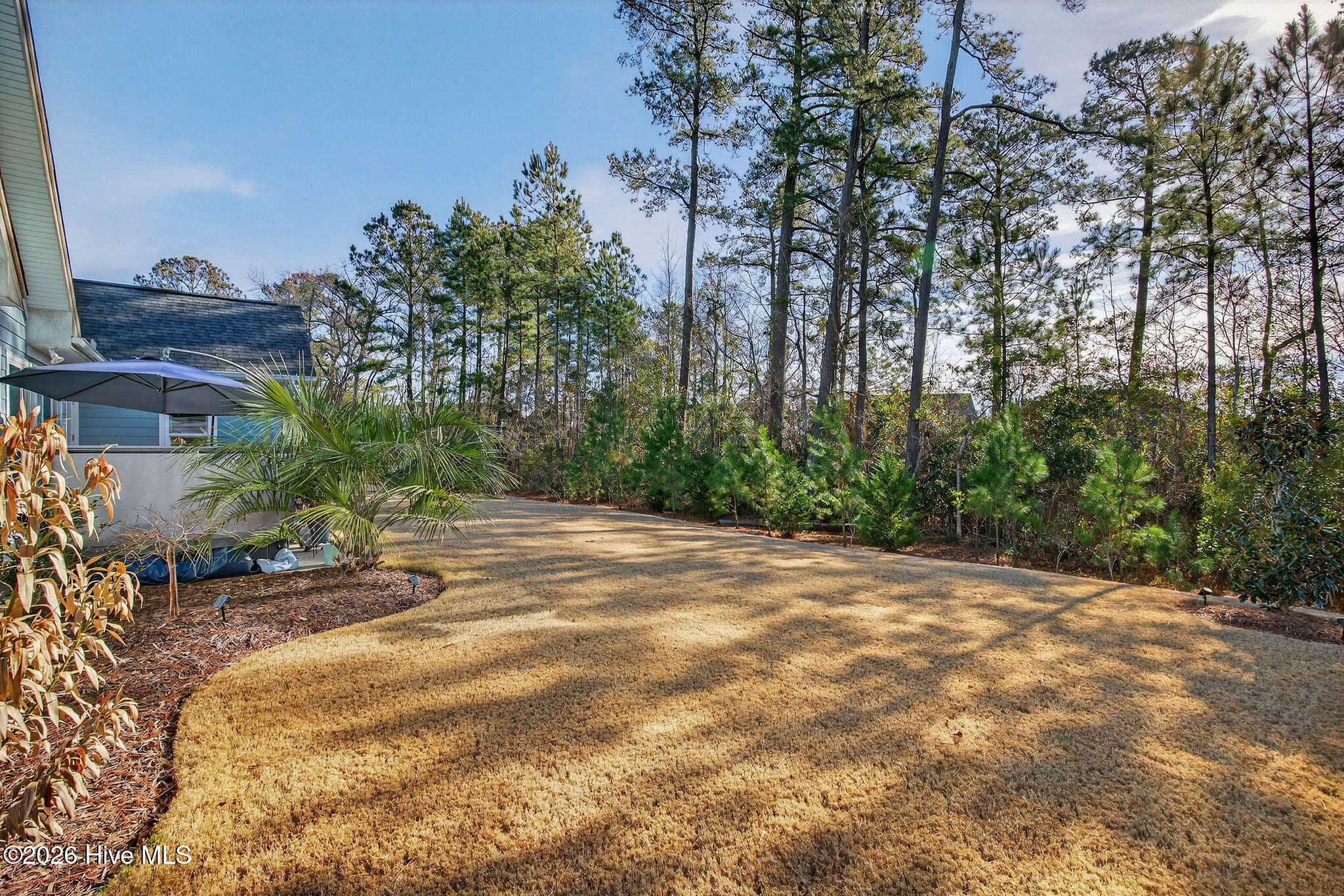 100554107 | Photo 58