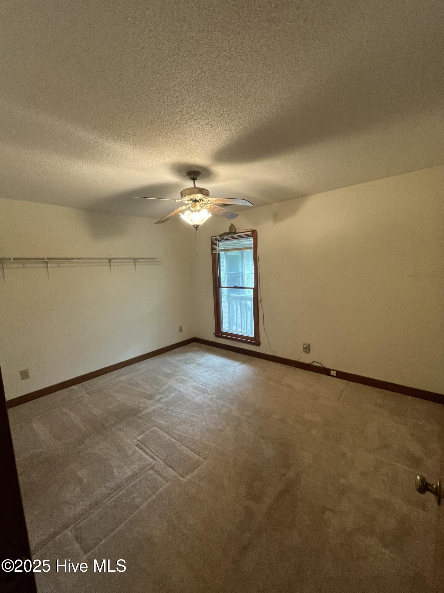 100522283 | Photo 13