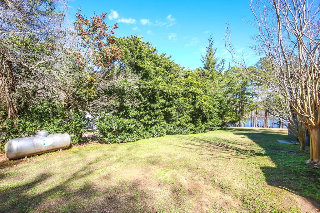 Undisclosed Address, Appling, GA, 30802