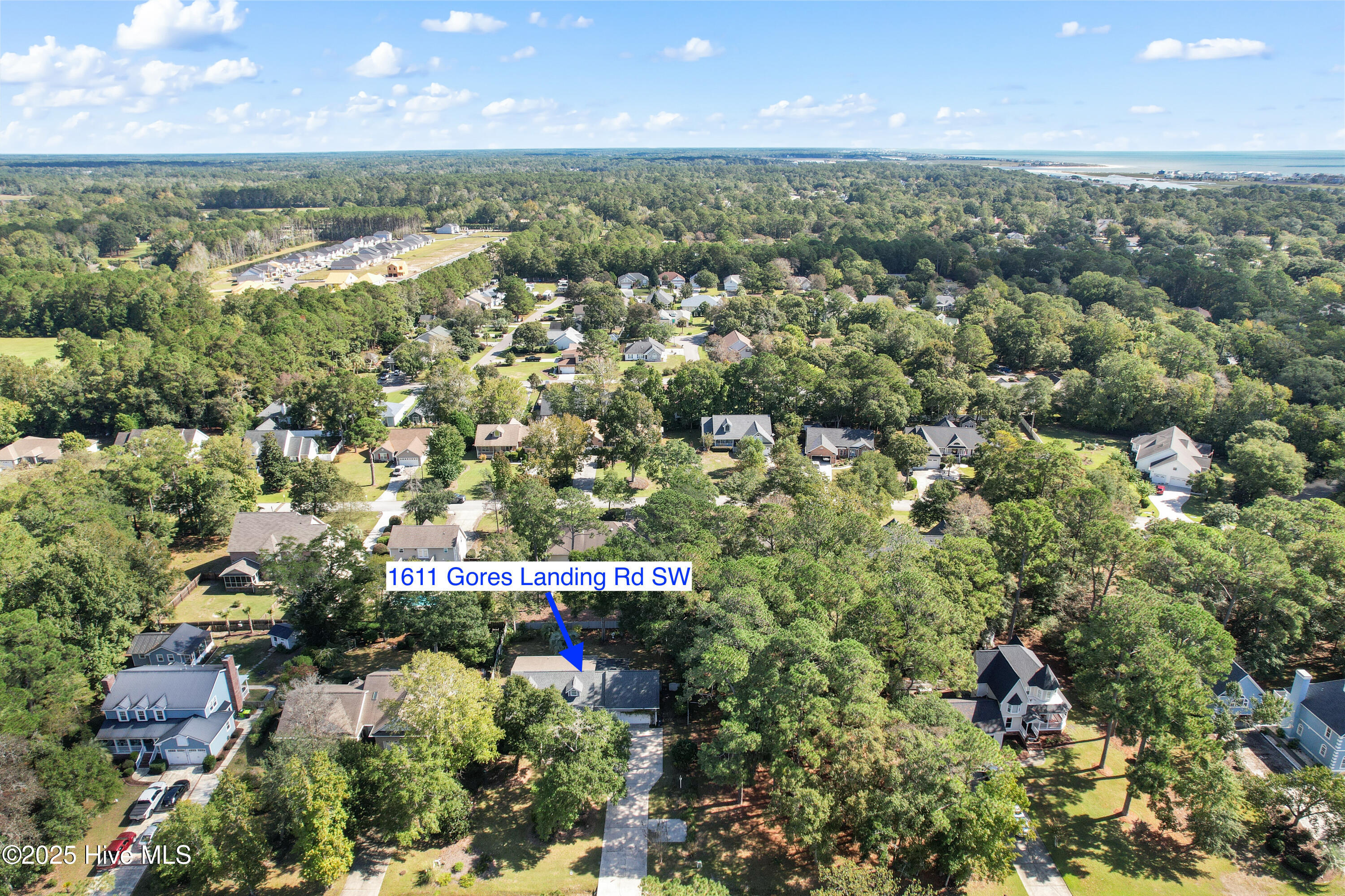 100537451 | Photo 28