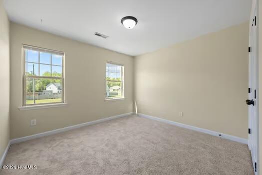 100542063 | Photo 37
