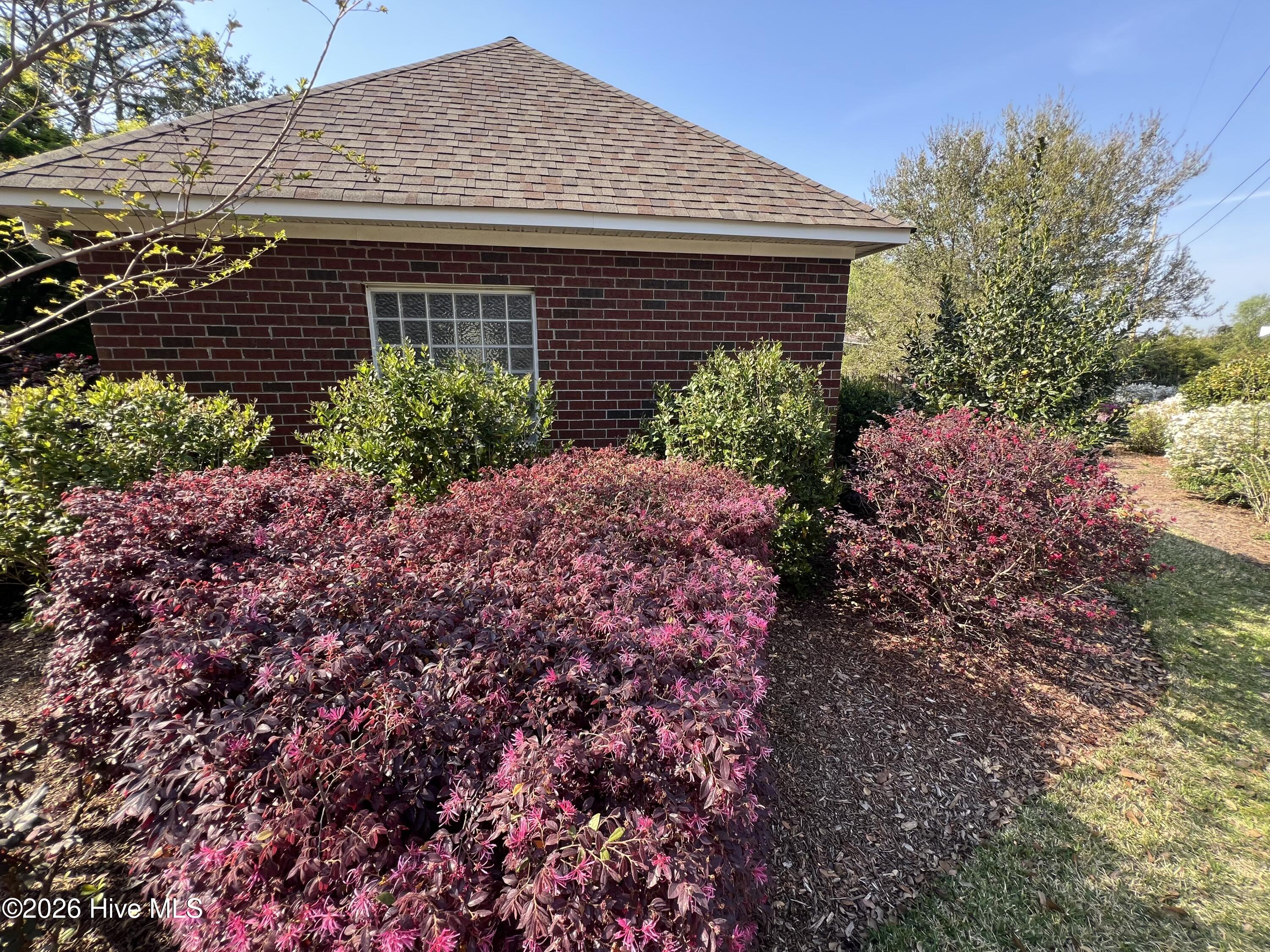 100556921 | Photo 50