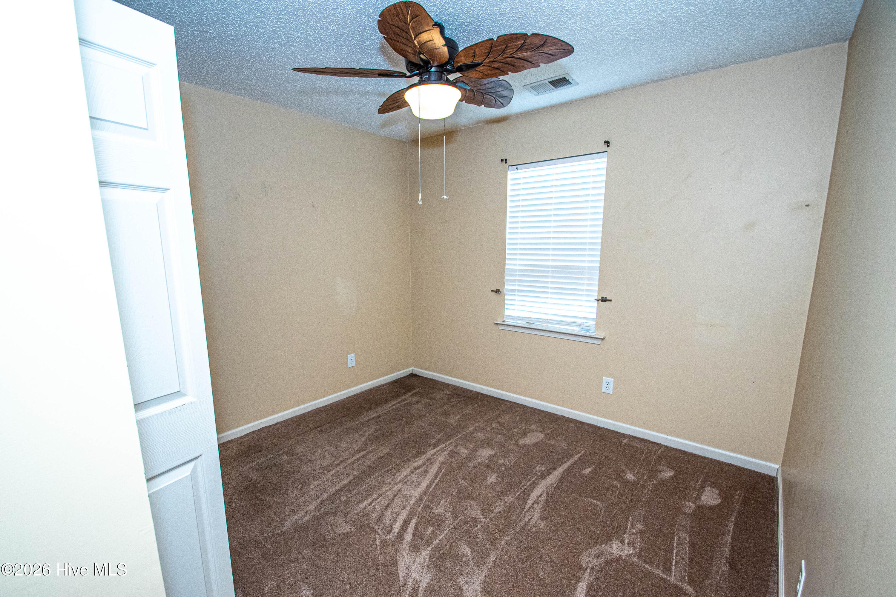 100567931 | Photo 37