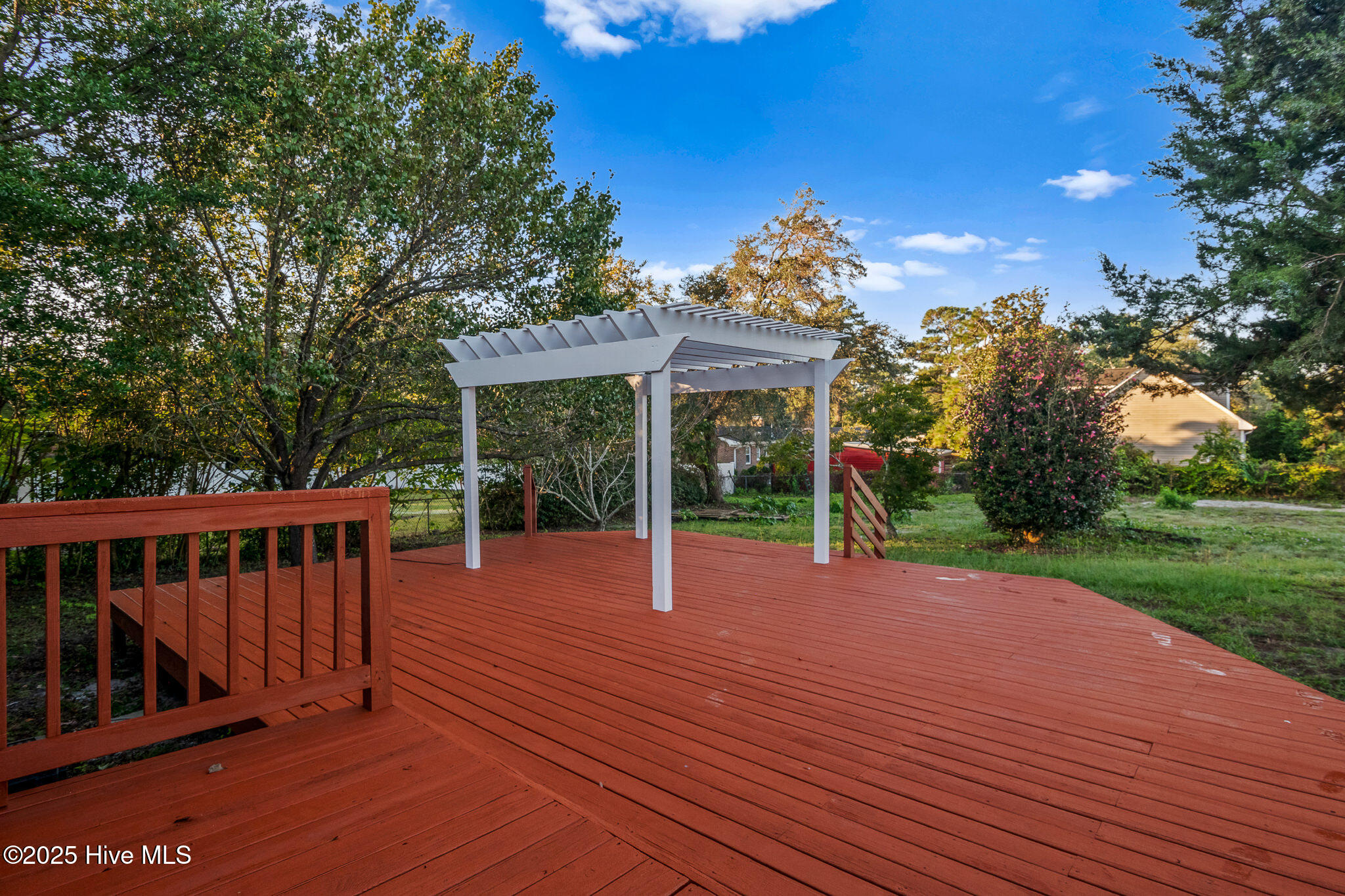 100536534 | Photo 24