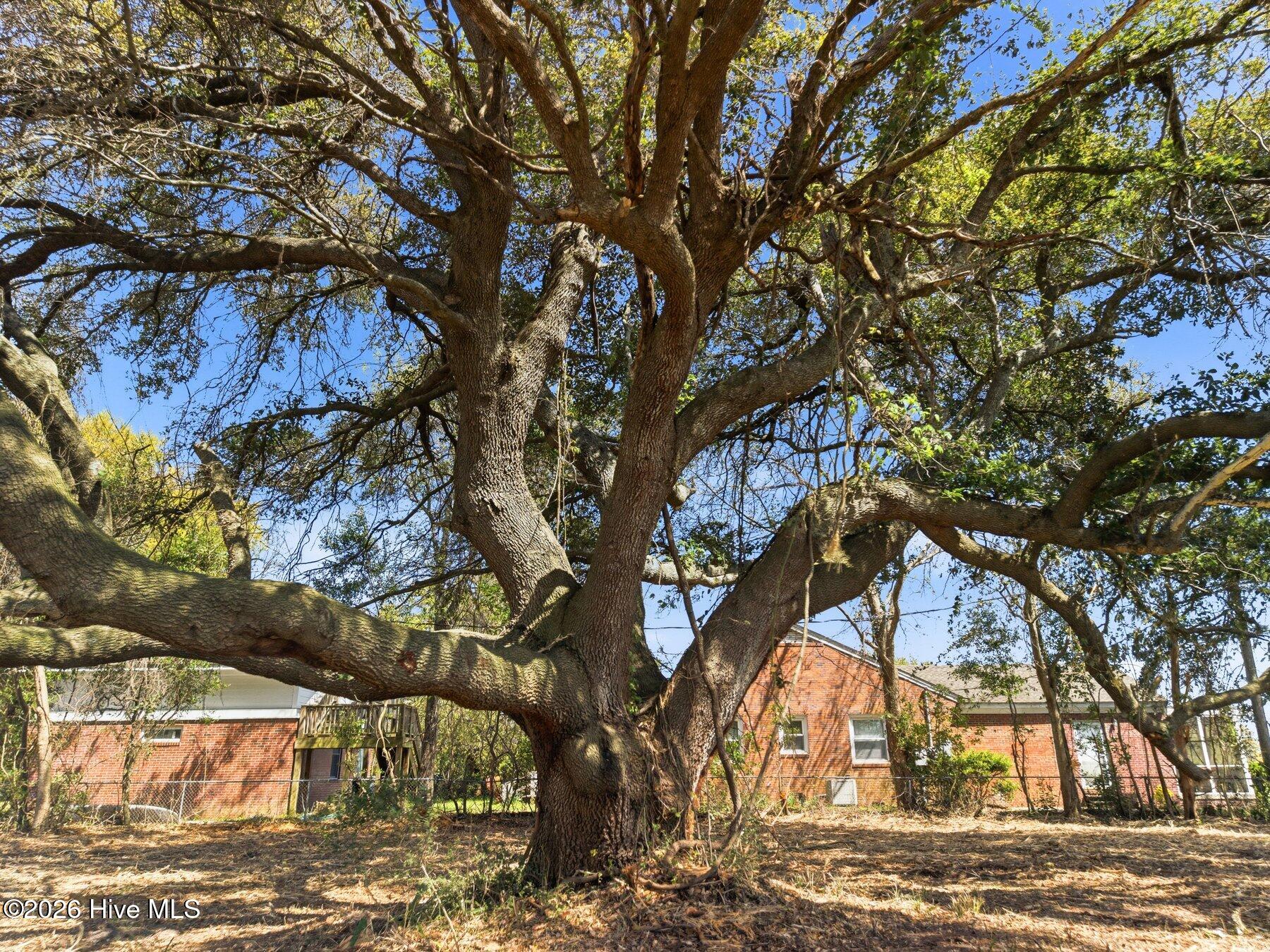 100564910 | Photo 12