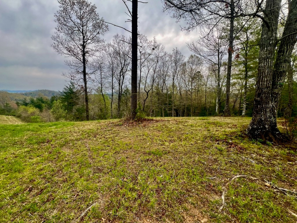 Exterior photo of TR 47 Majestic Mountain Trail, Murphy, NC 28906. MLS: 98524674