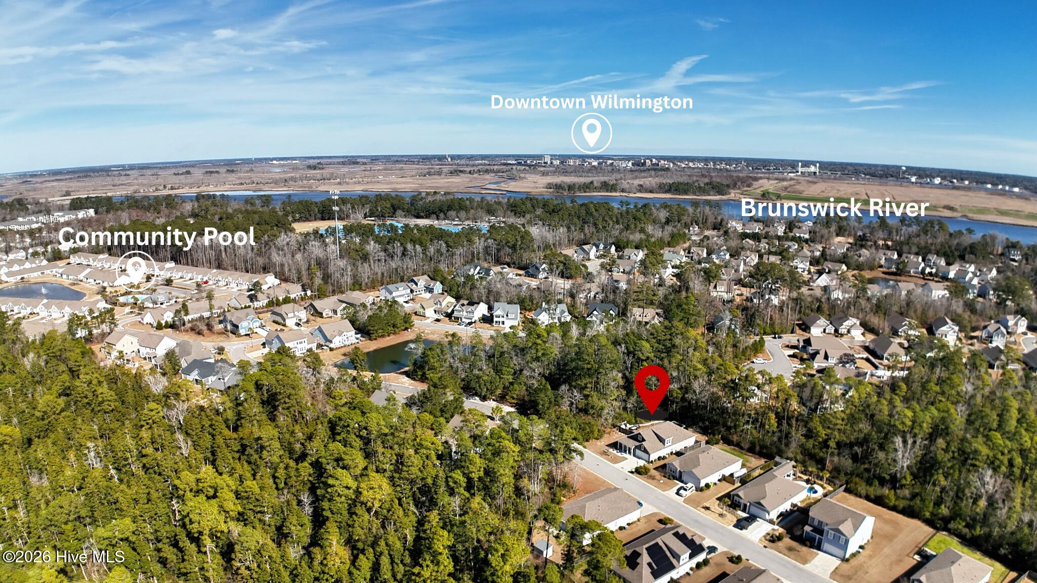 100552645 | Photo 45