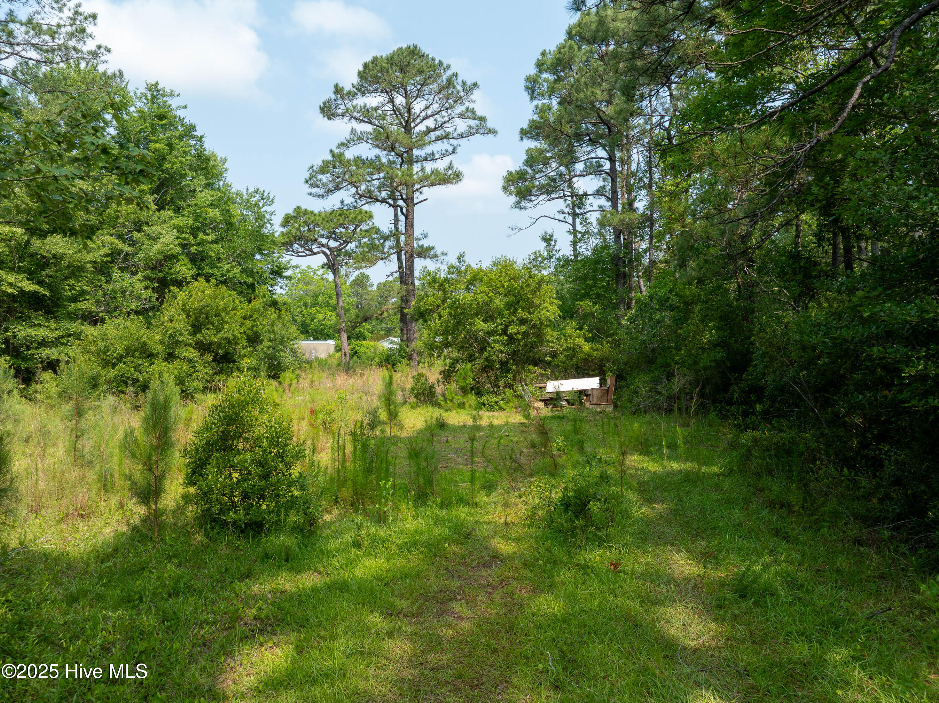 100510608 | Photo 13