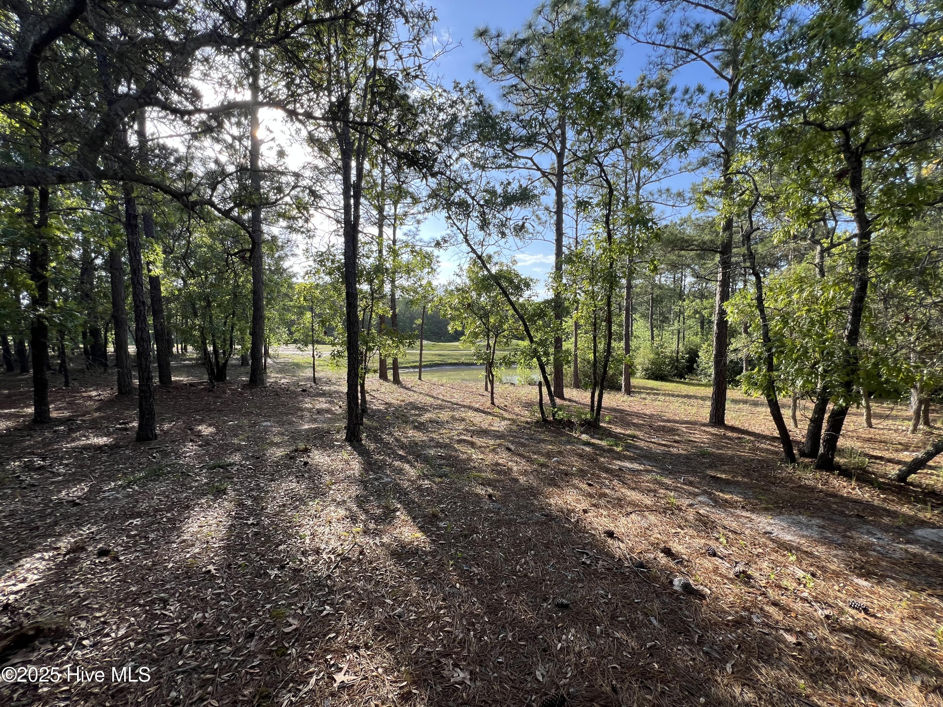 100506027 | Photo 28