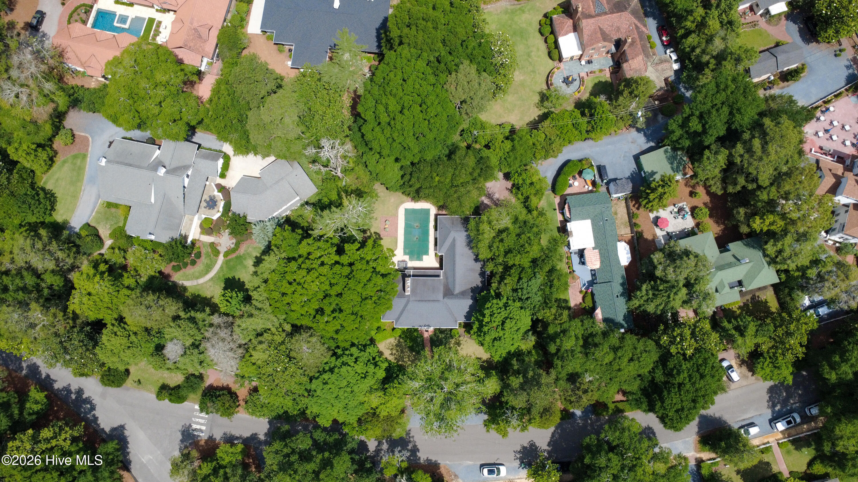 Ariel View