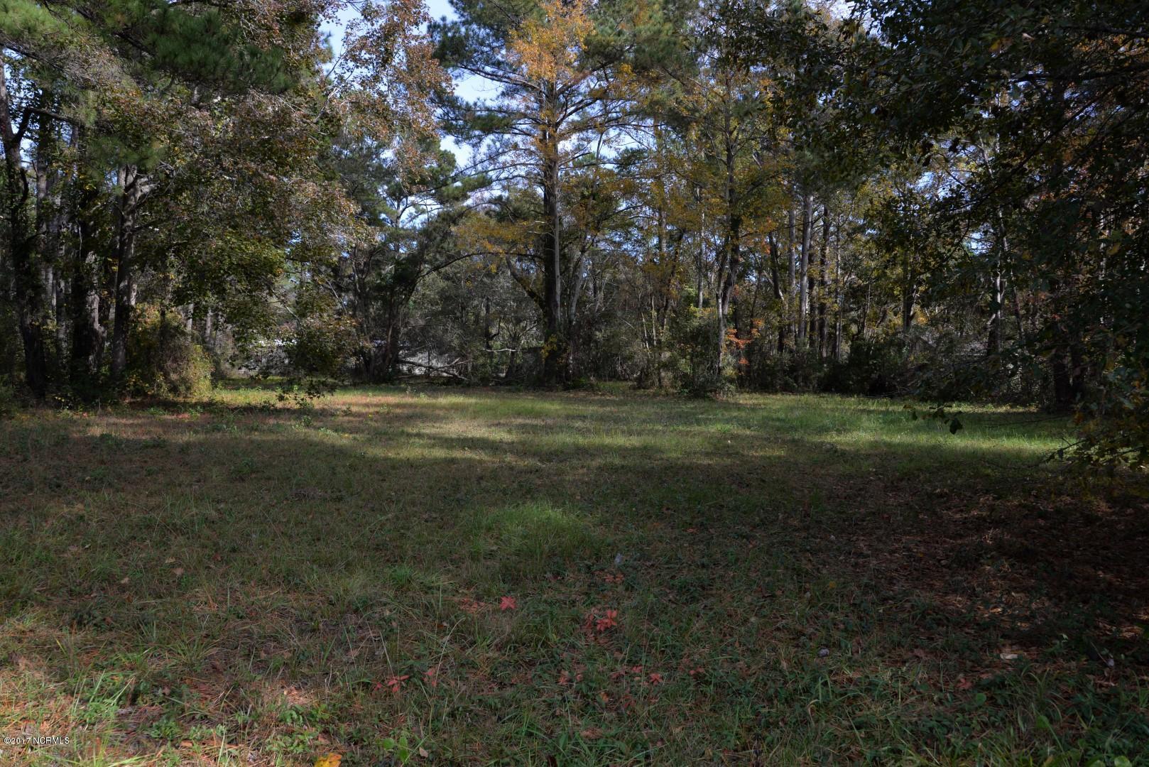 100492321 | Photo 11