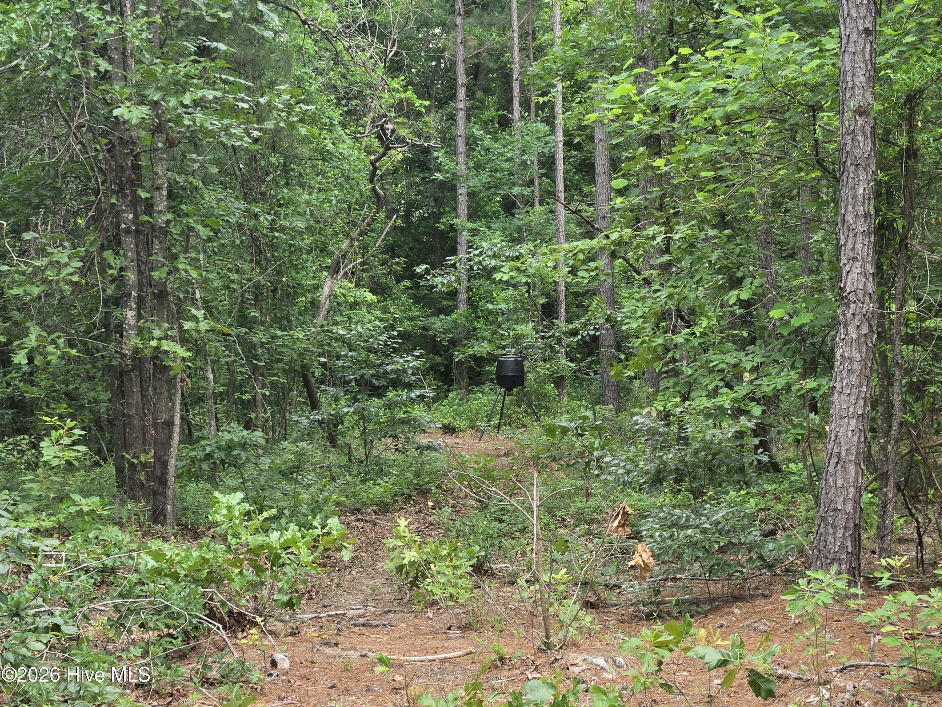 Tract 14 Belford Church Road, Jackson Springs, NC 27281 Listing Photo  23