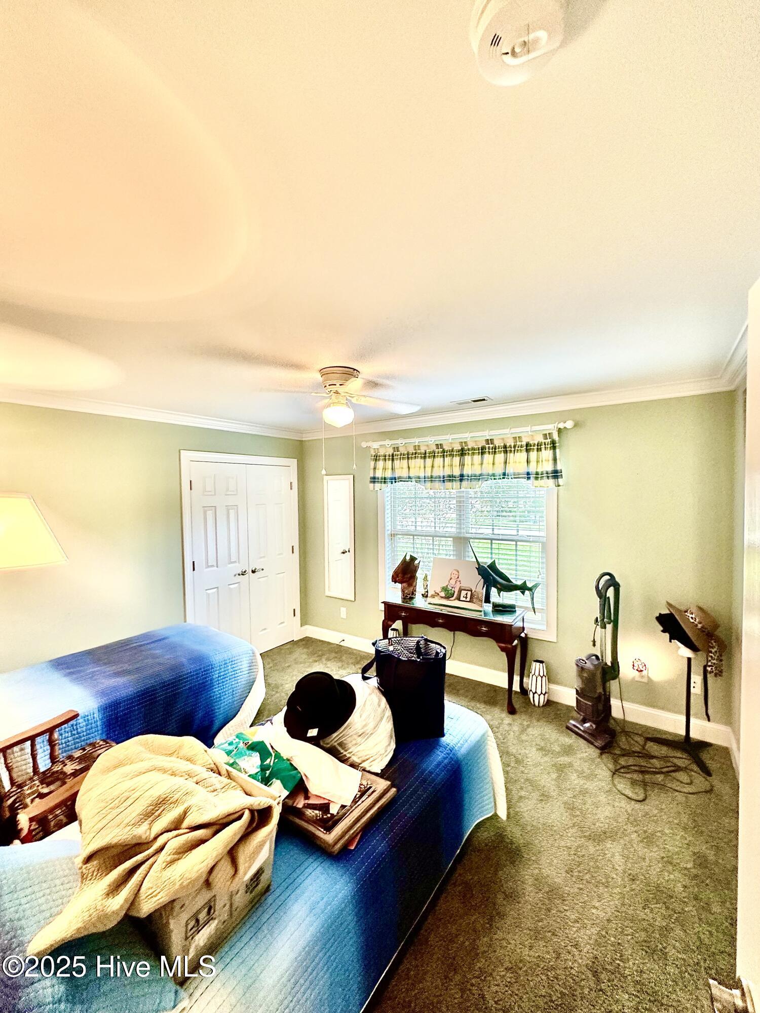 100523246 | Photo 24