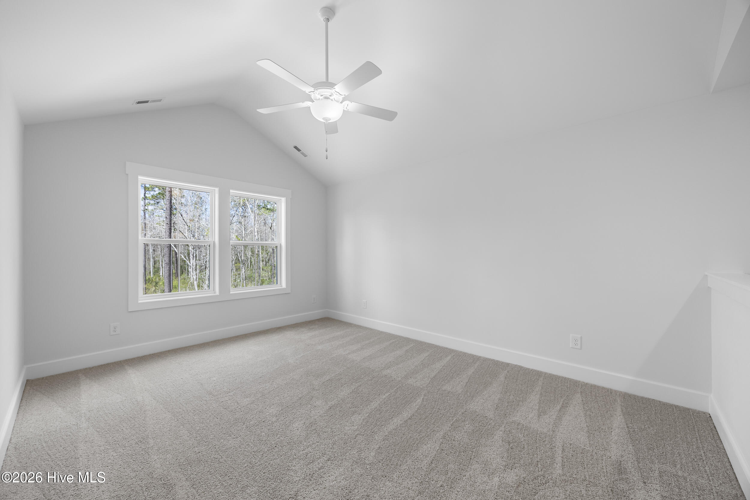 100523134 | Photo 32