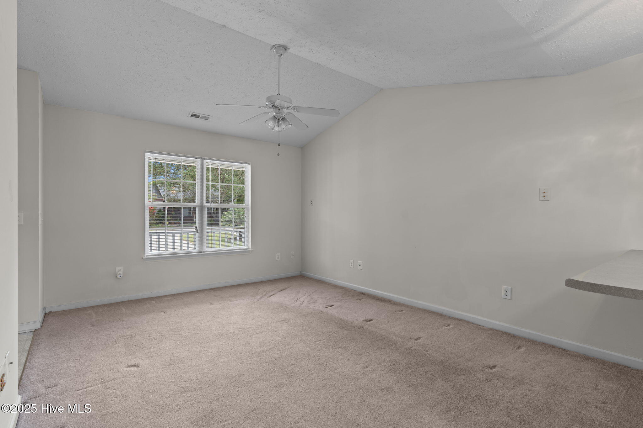 100526319 | Photo 30