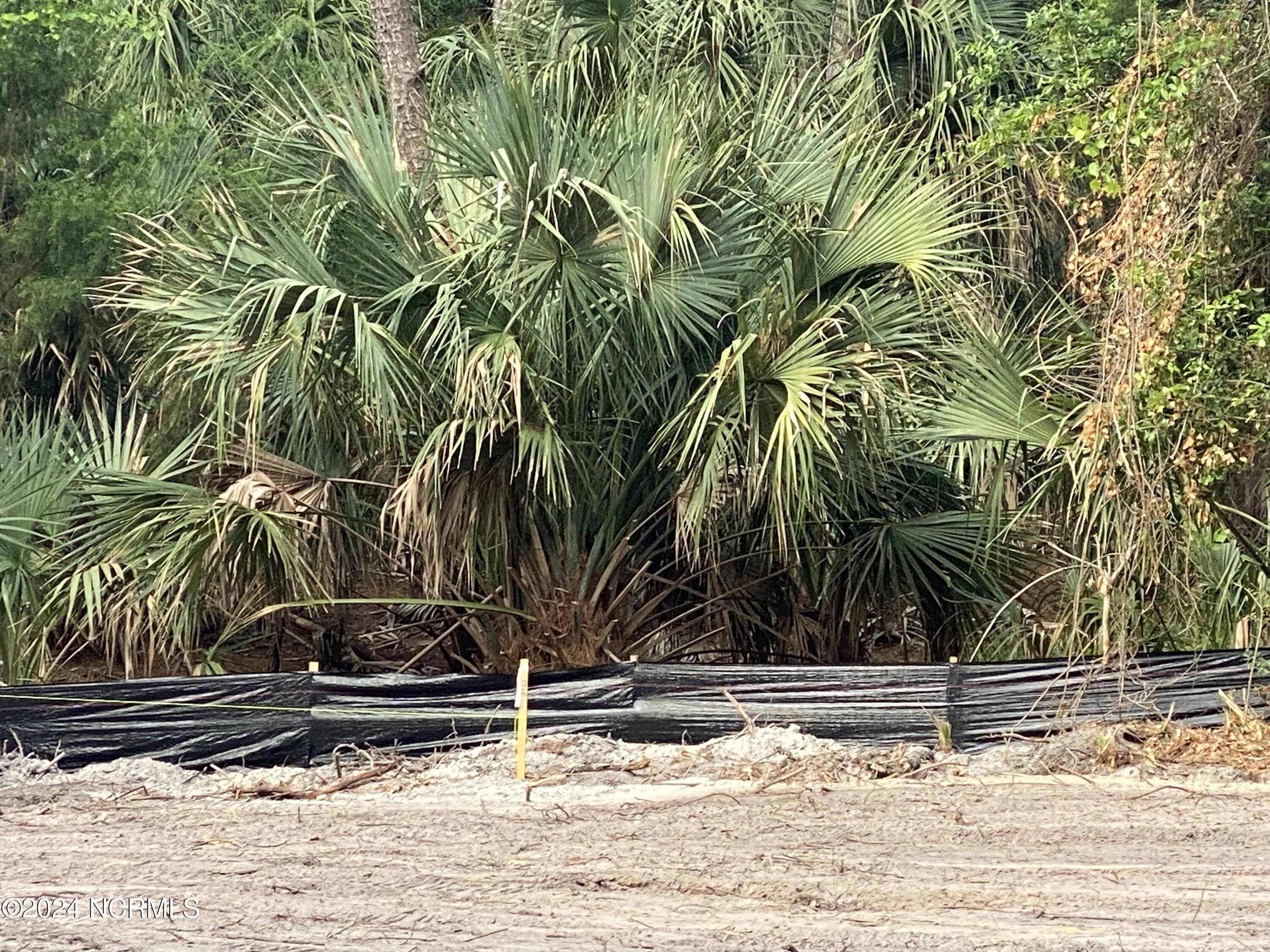 100404074 | Photo 41