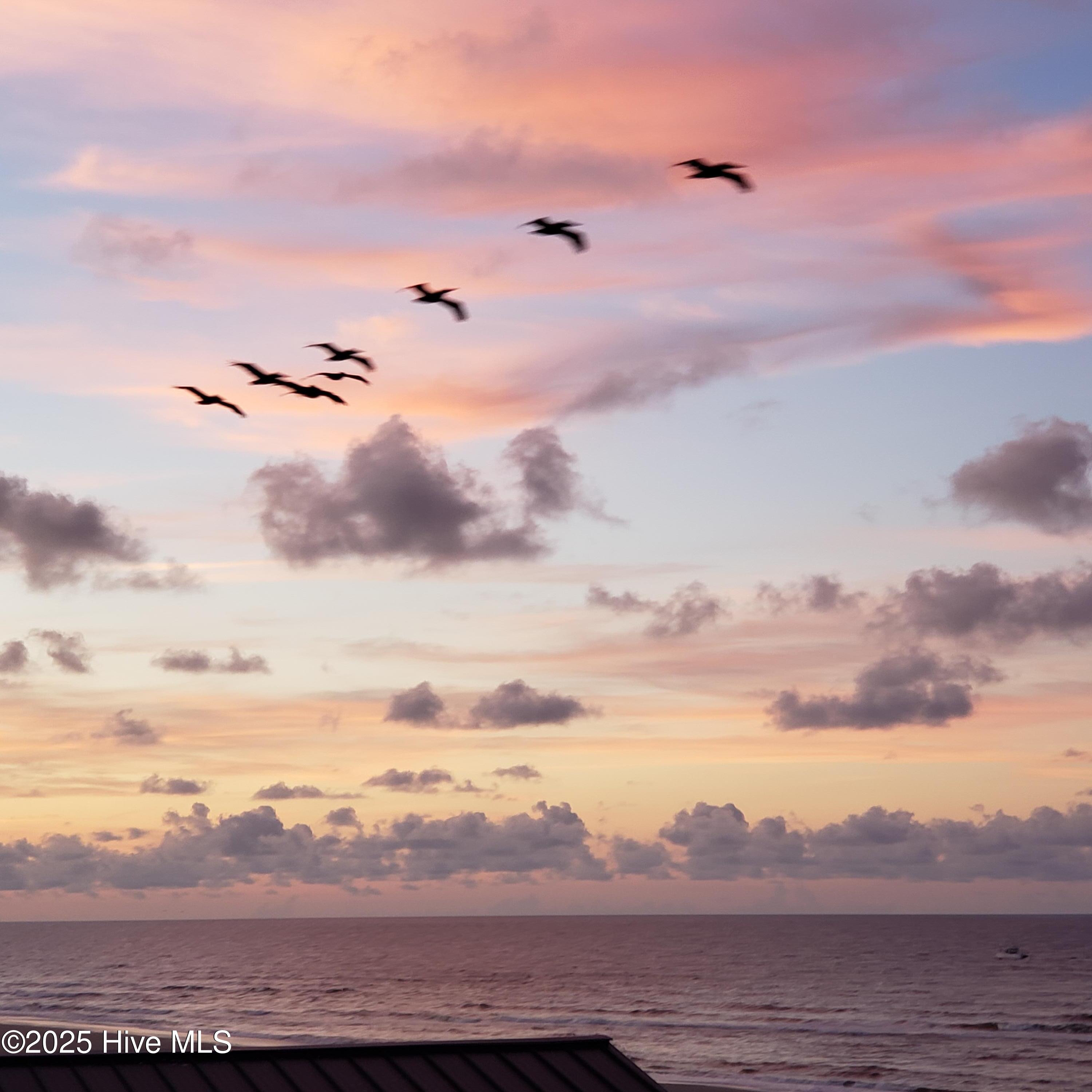 100541150 | Photo 70