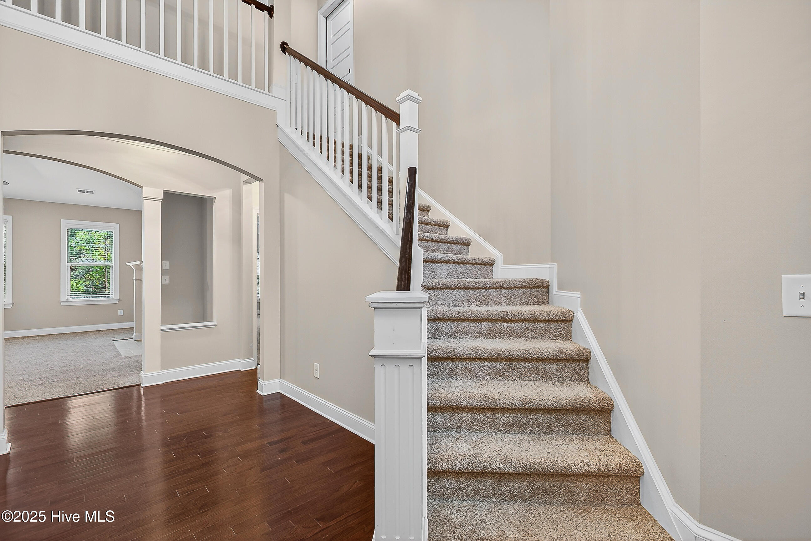 100534677 | Photo 35