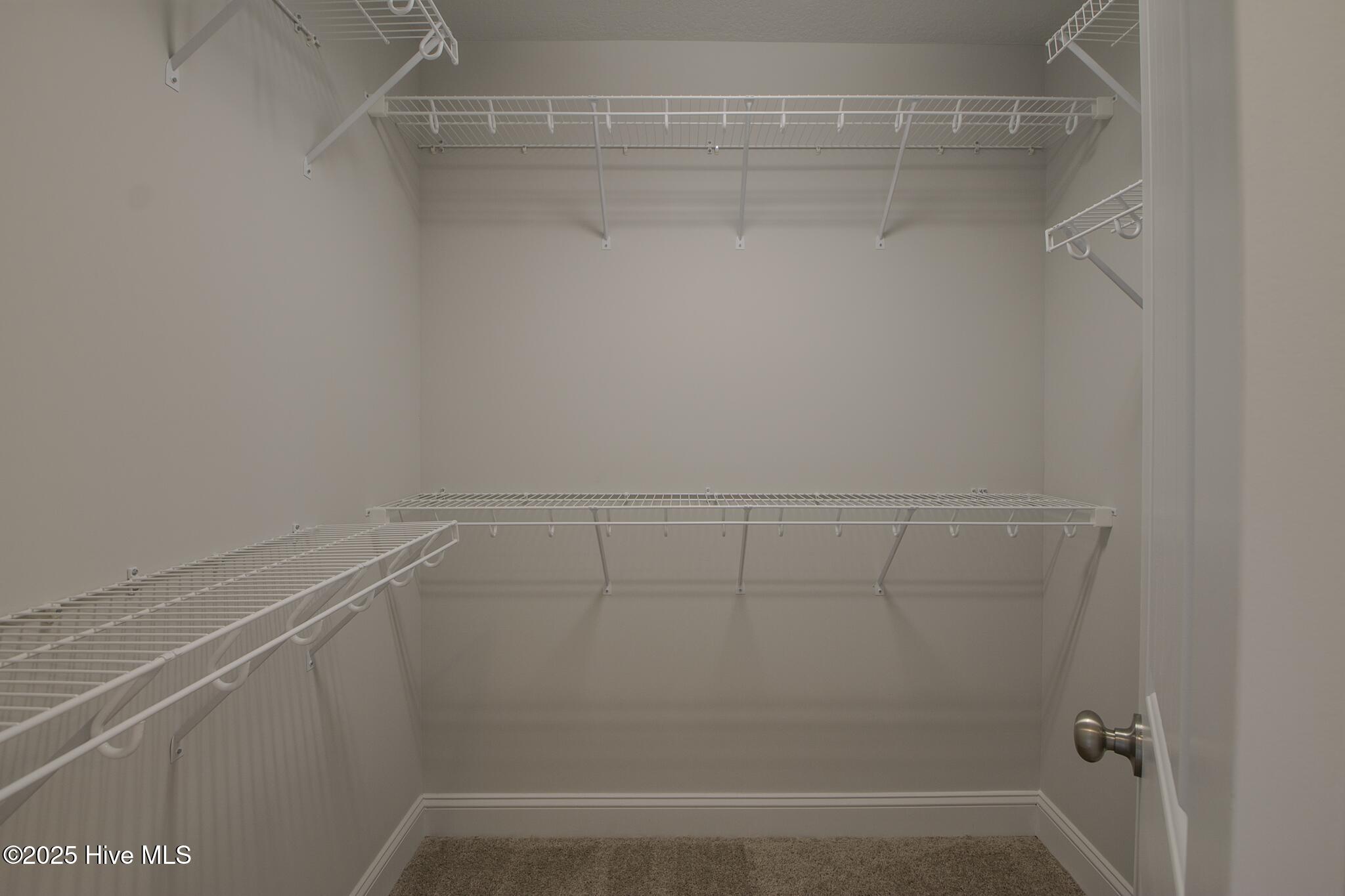 100505721 | Photo 18