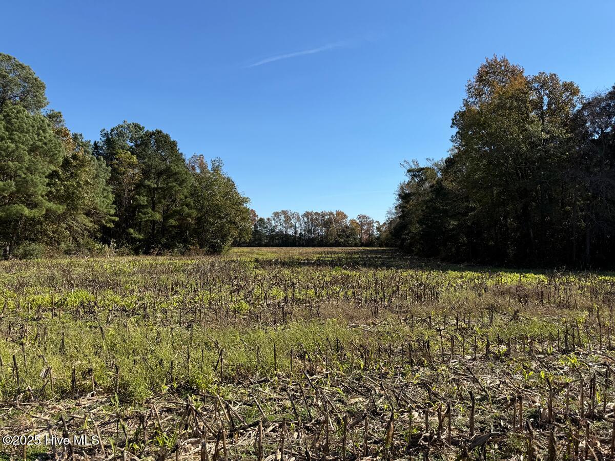 100540348 | Photo 34