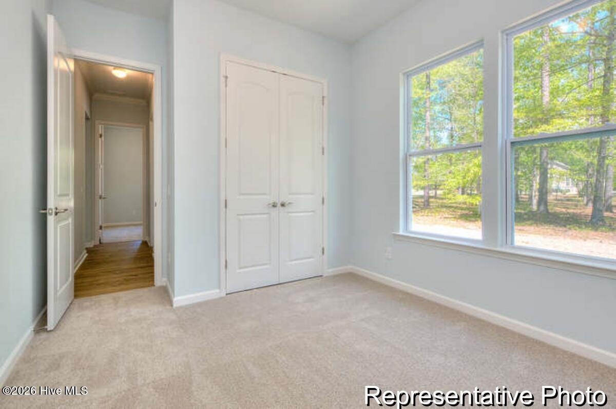 100563715 | Photo 25