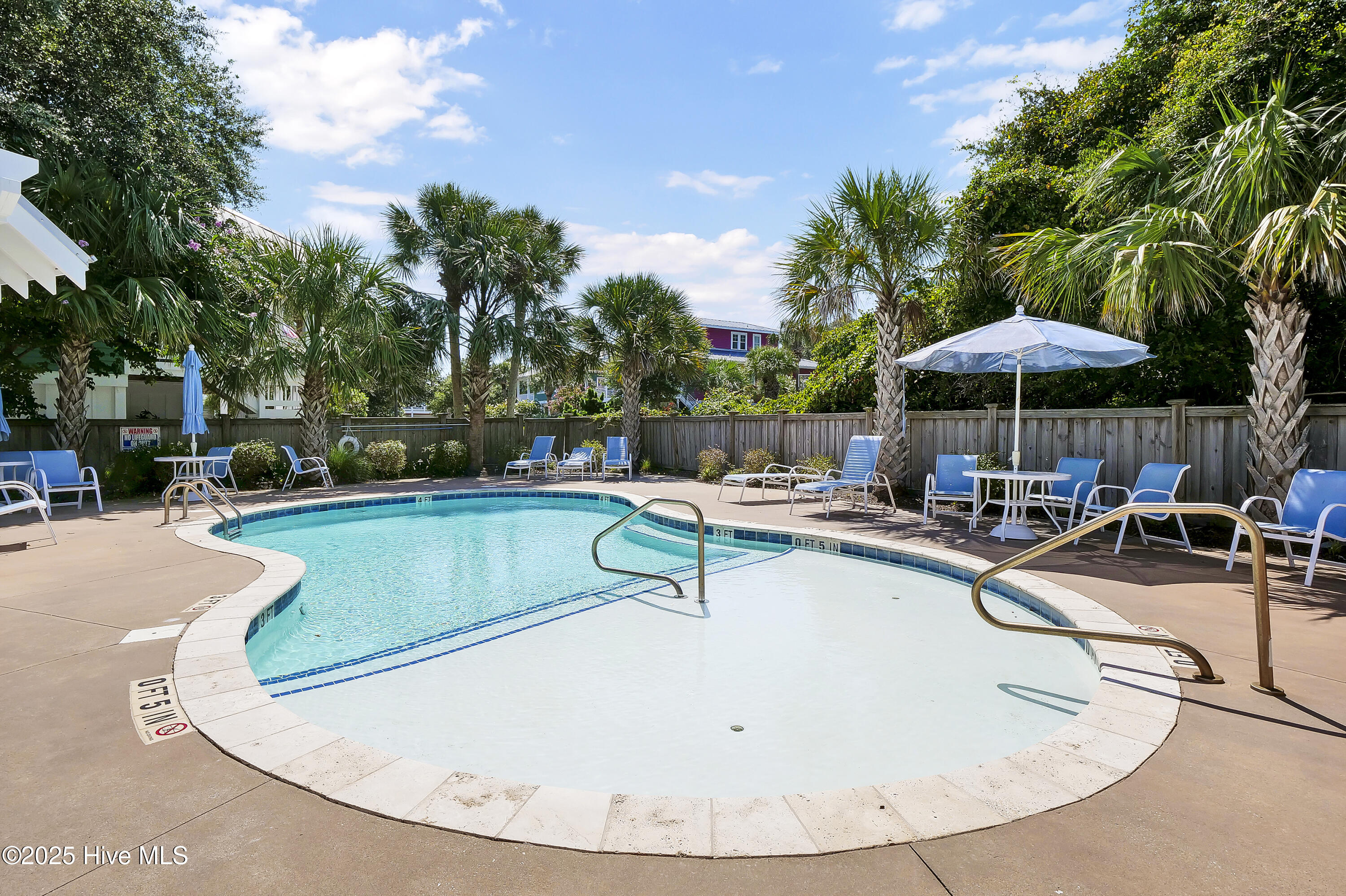 100535596 | Photo 50