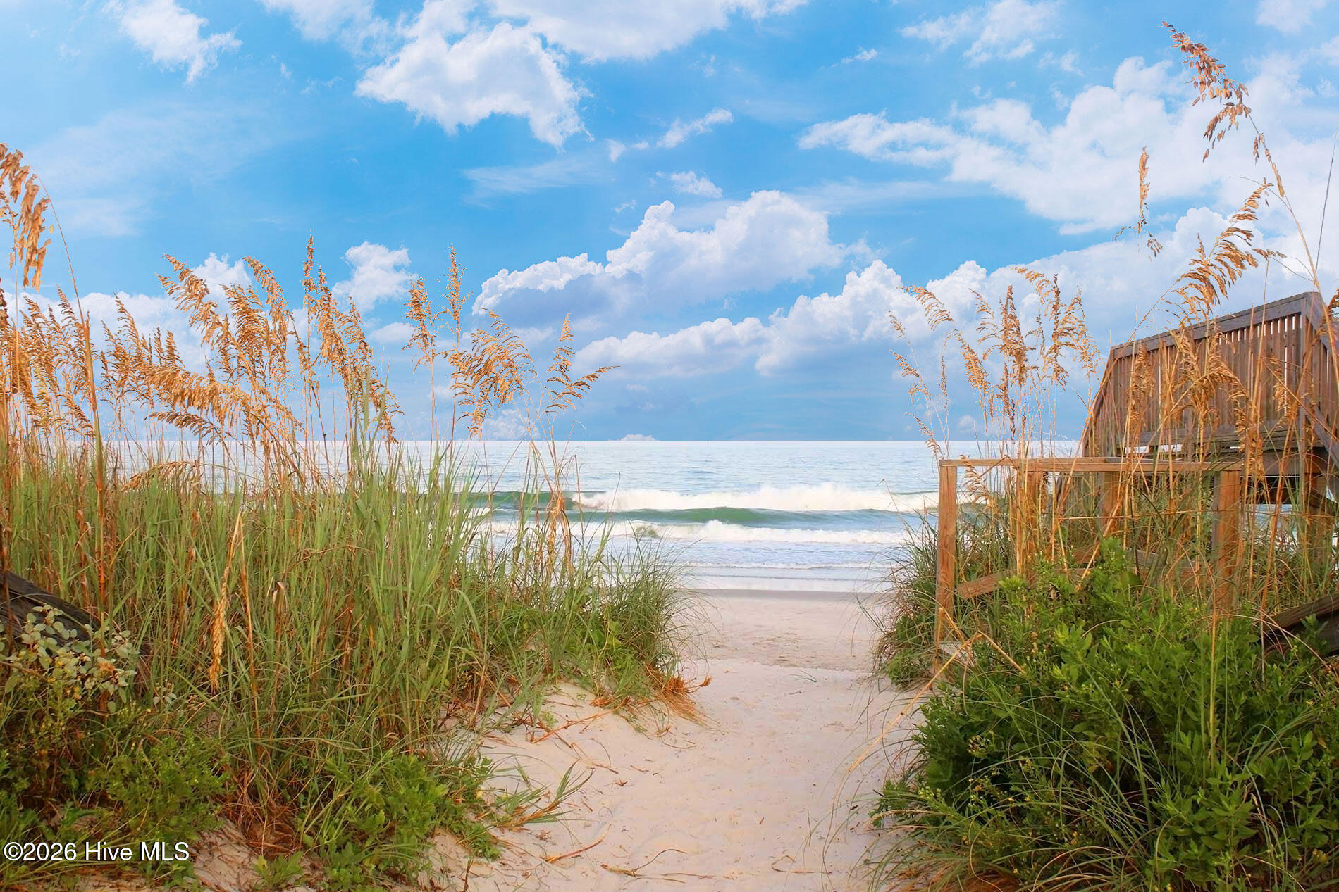 100563613 | Photo 41