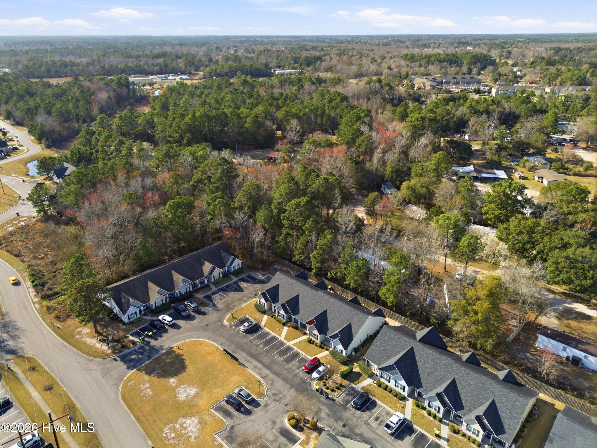 100559170 | Photo 34