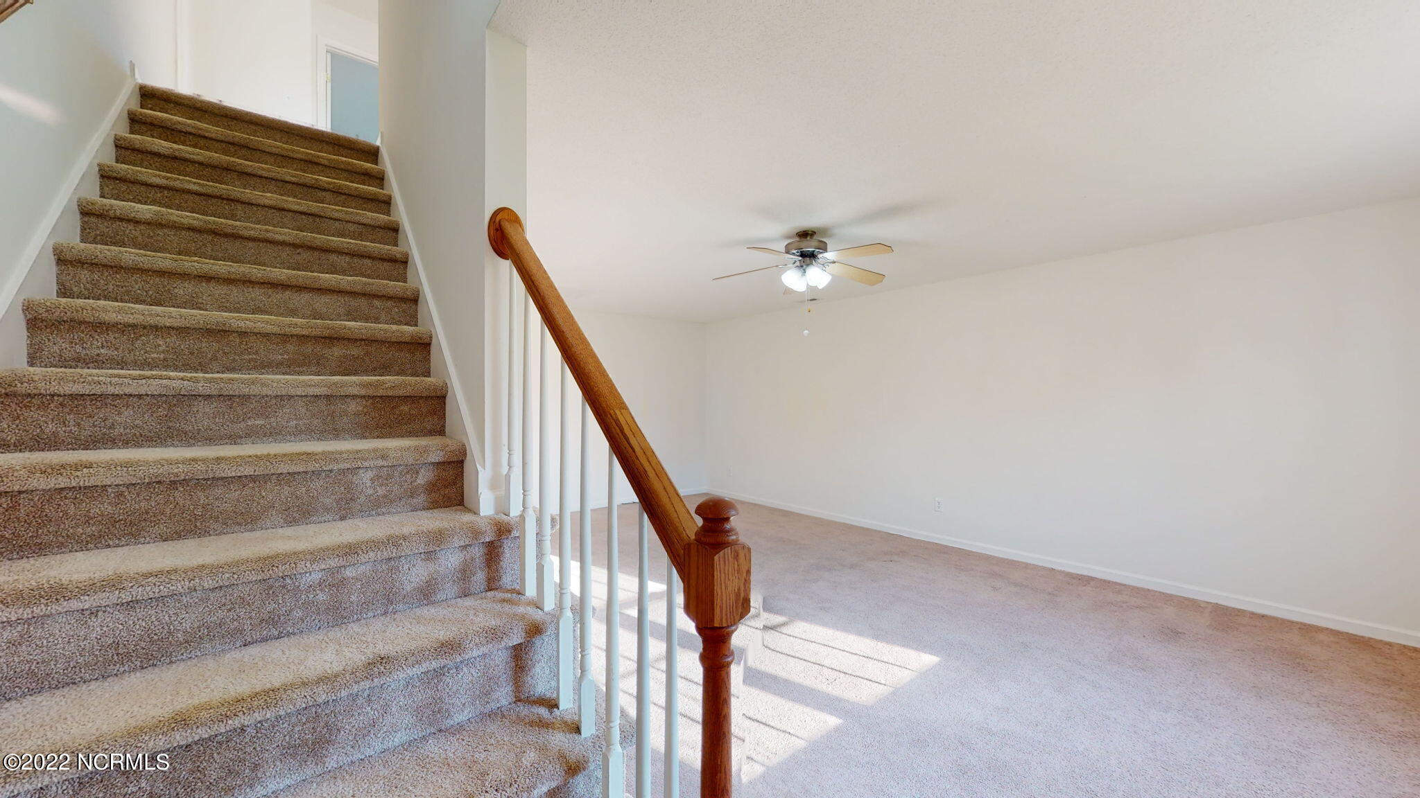 100557503 | Photo 16