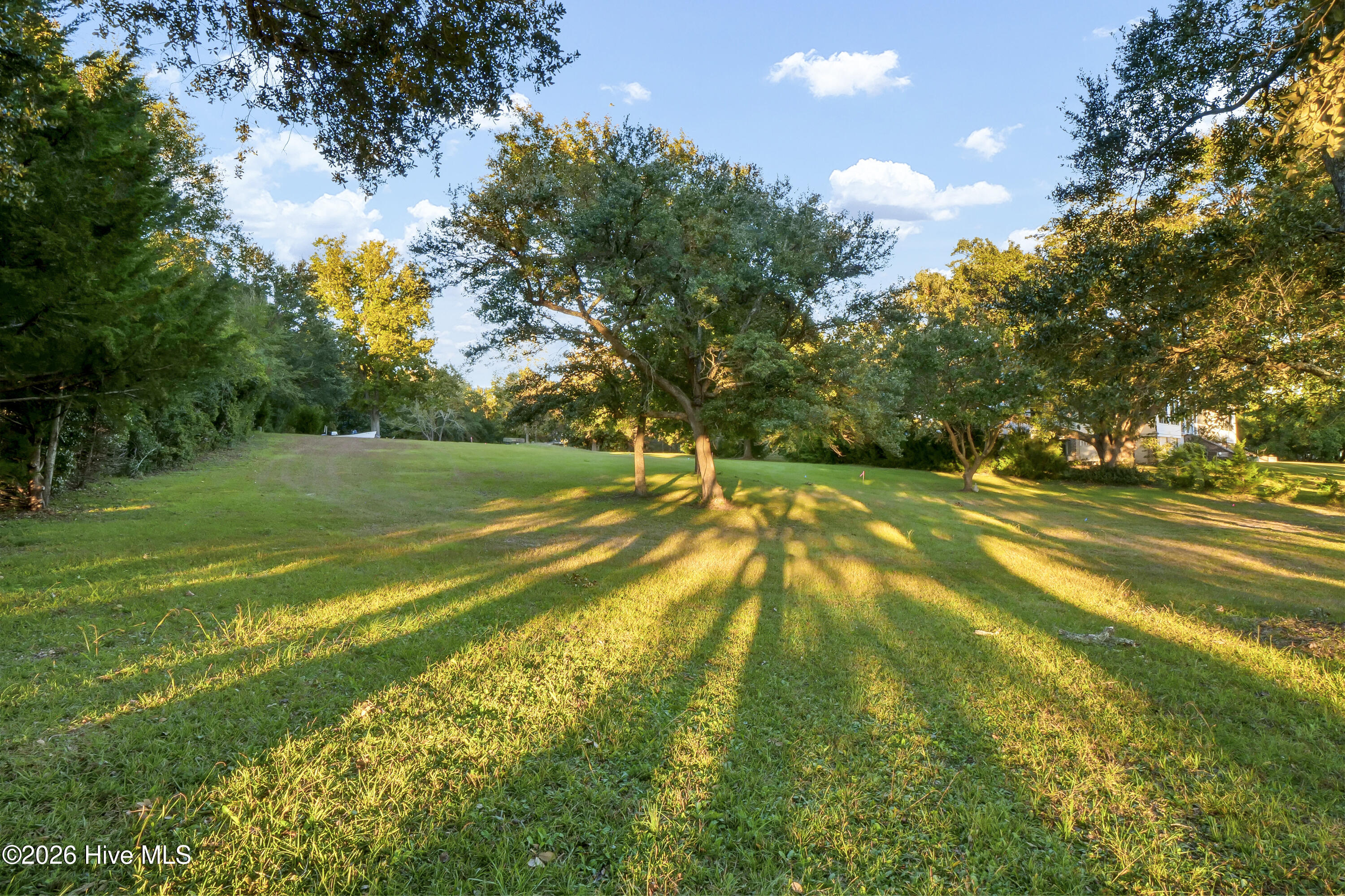 100563233 | Photo 12