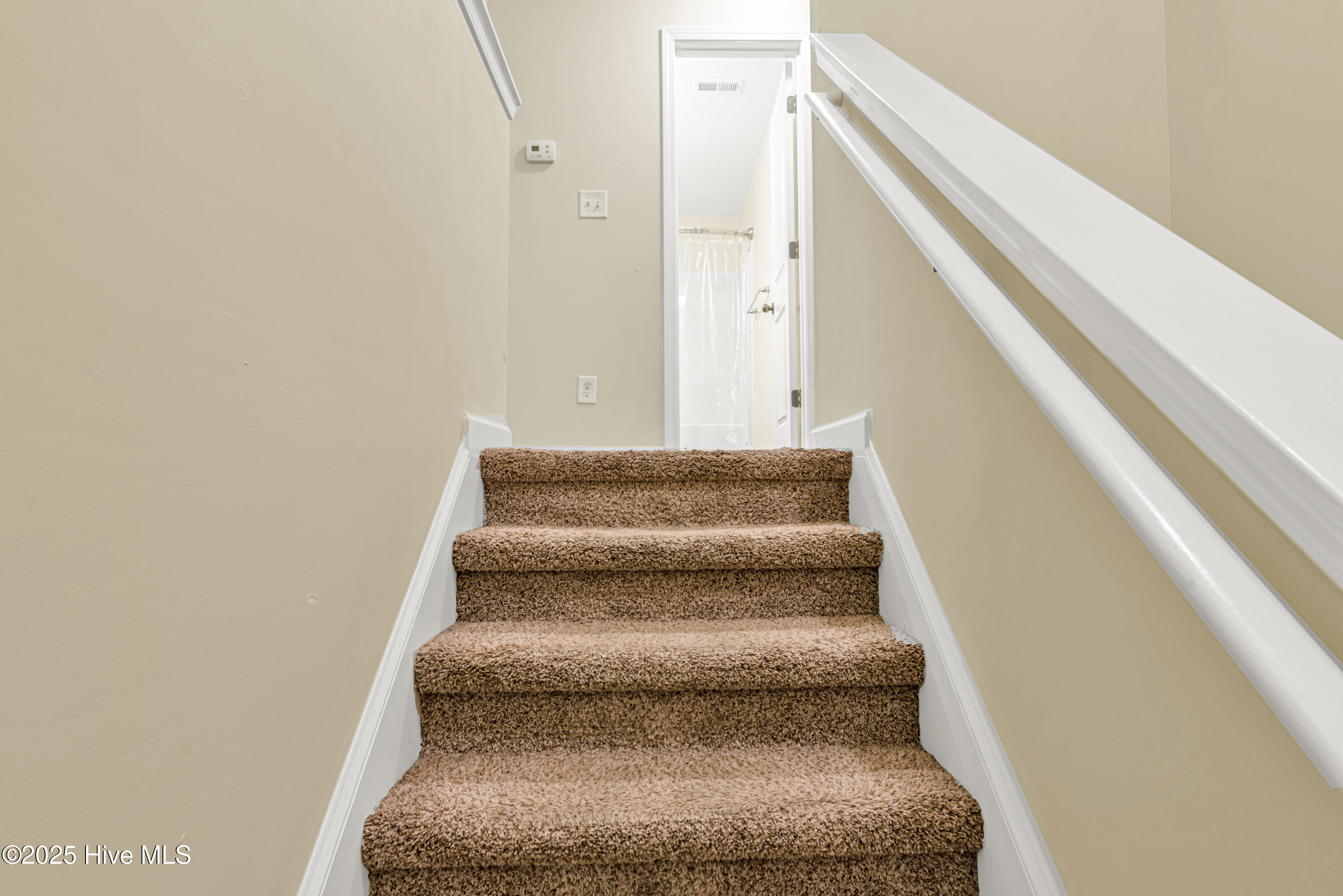 100556038 | Photo 26