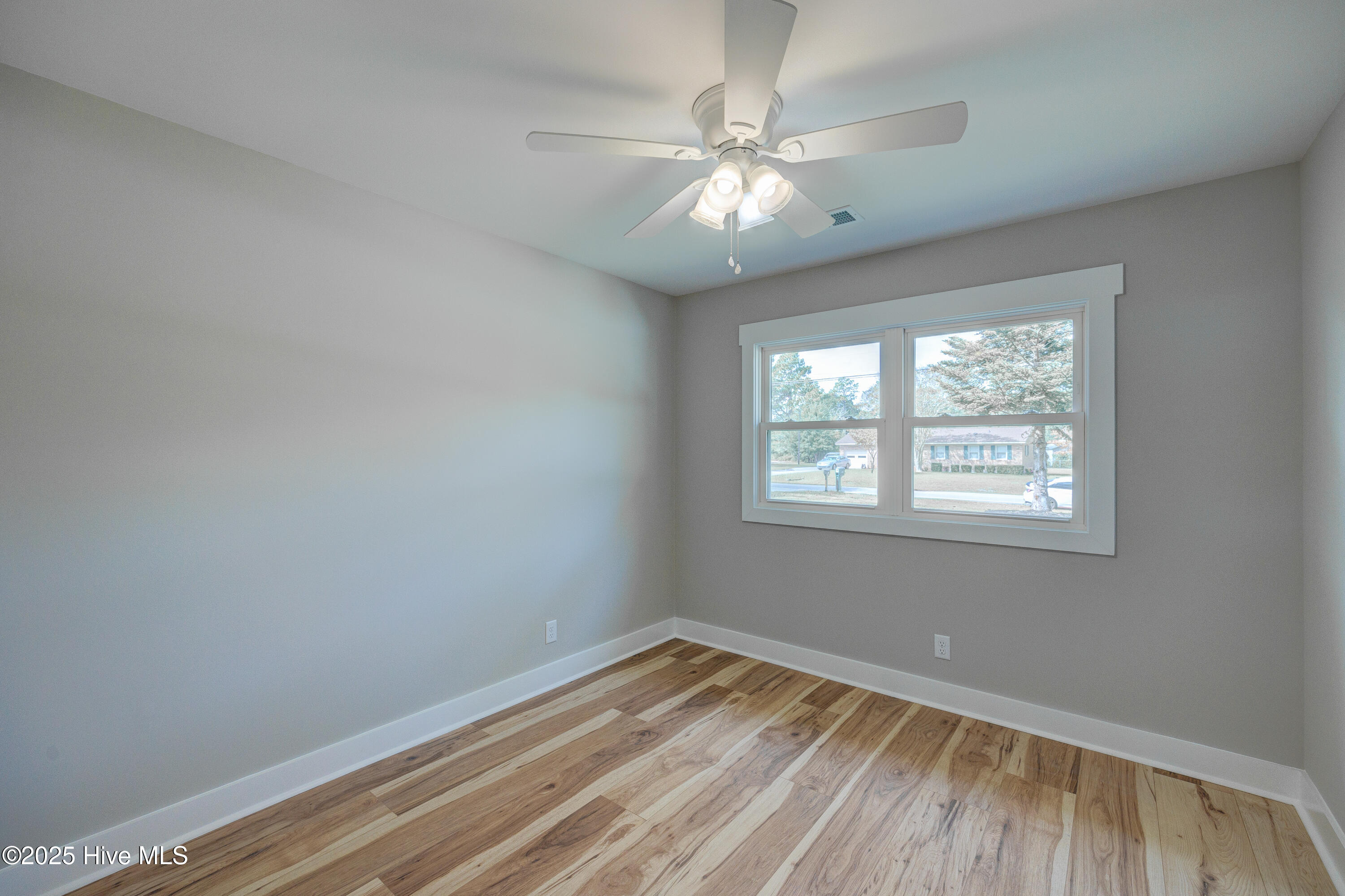 100534169 | Photo 29