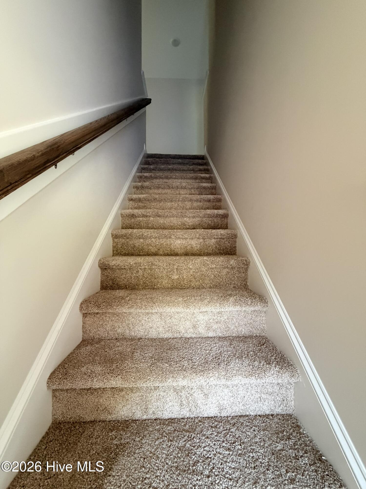 110 Palo Alto Park Drive,Maysville