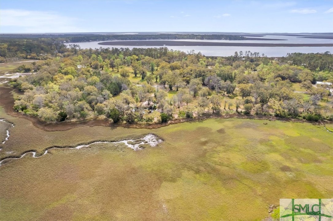 LOT 6 Bermuda Bluff Lane, Midway, GA, 31320