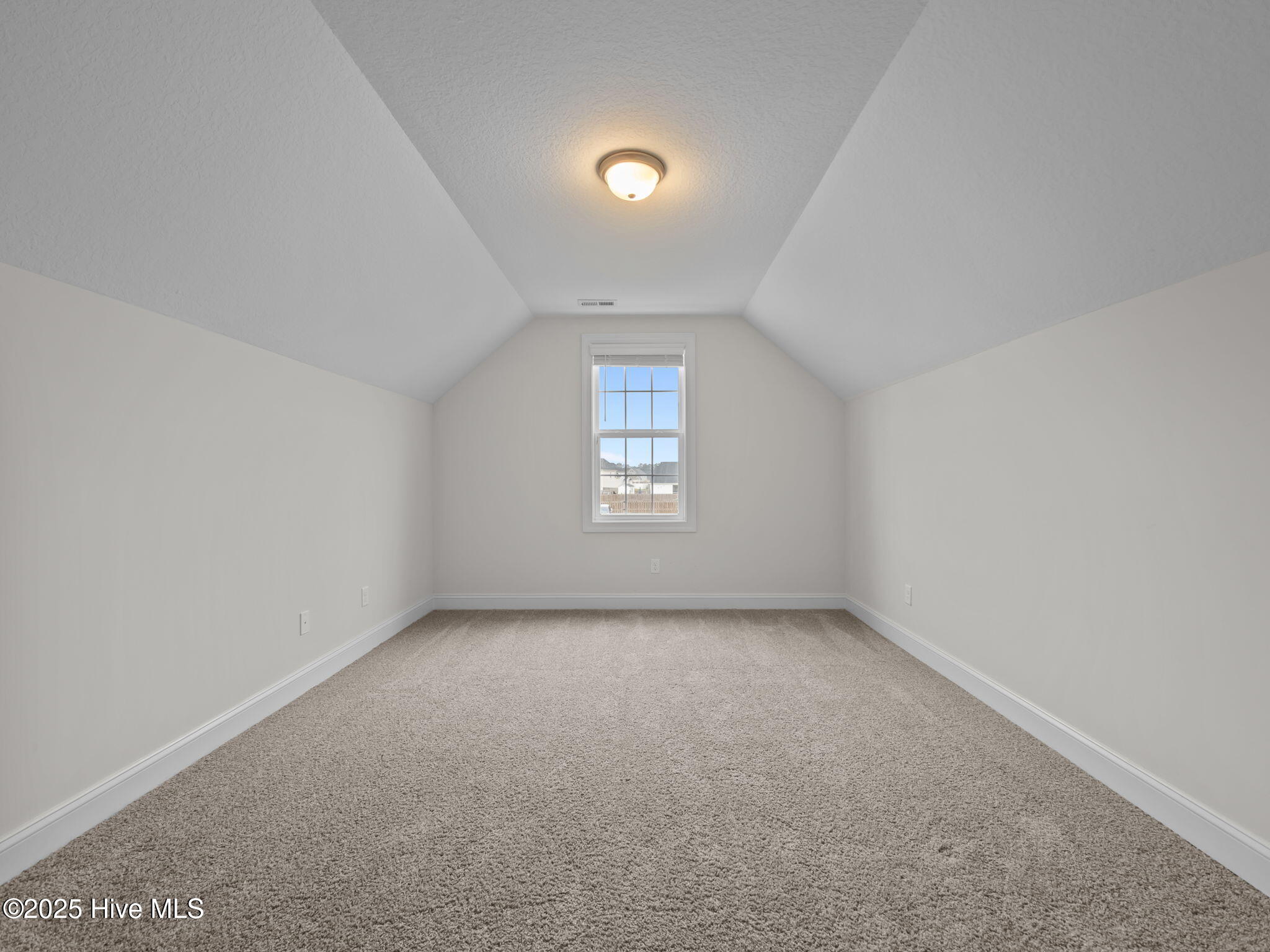 100536873 | Photo 34