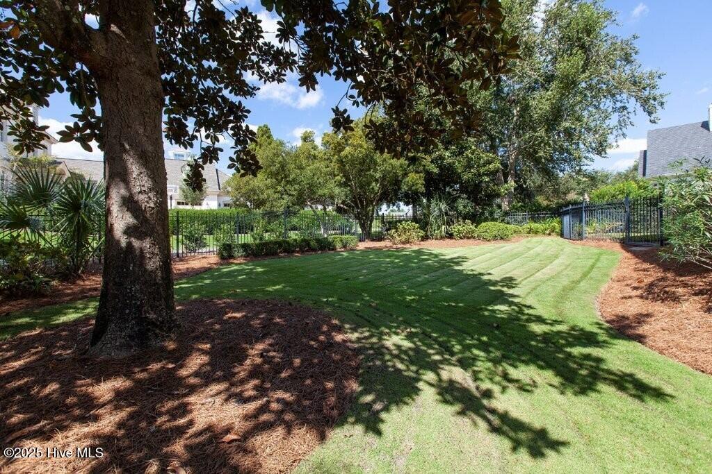 100523912 | Photo 70