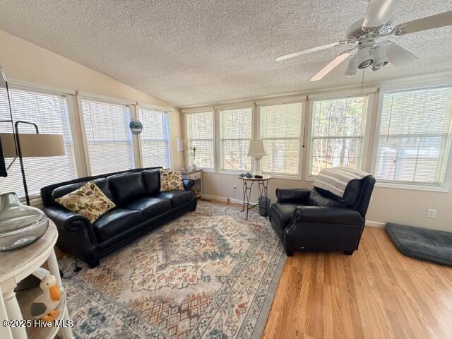 100546387 | Photo 30