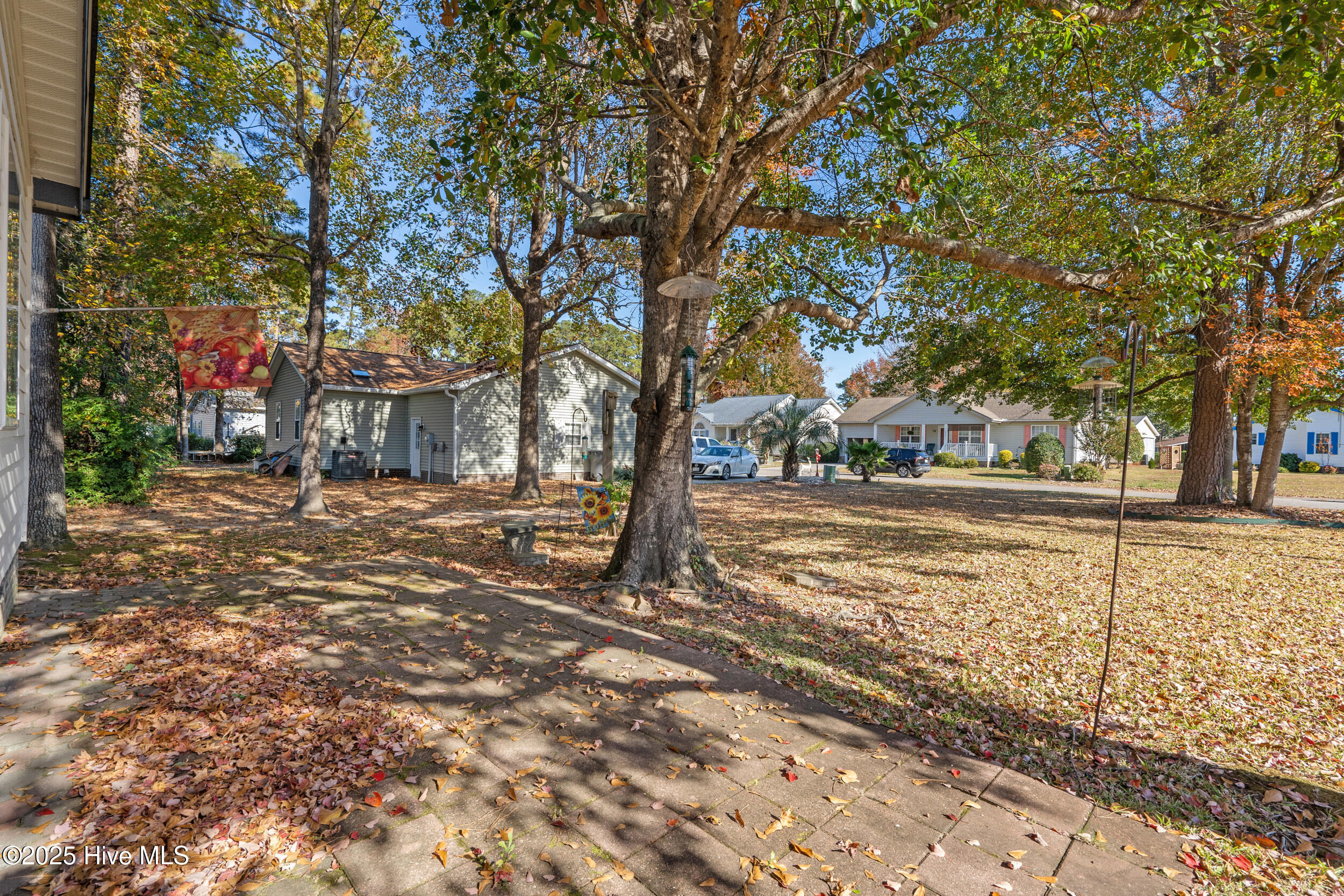 100542117 | Photo 36