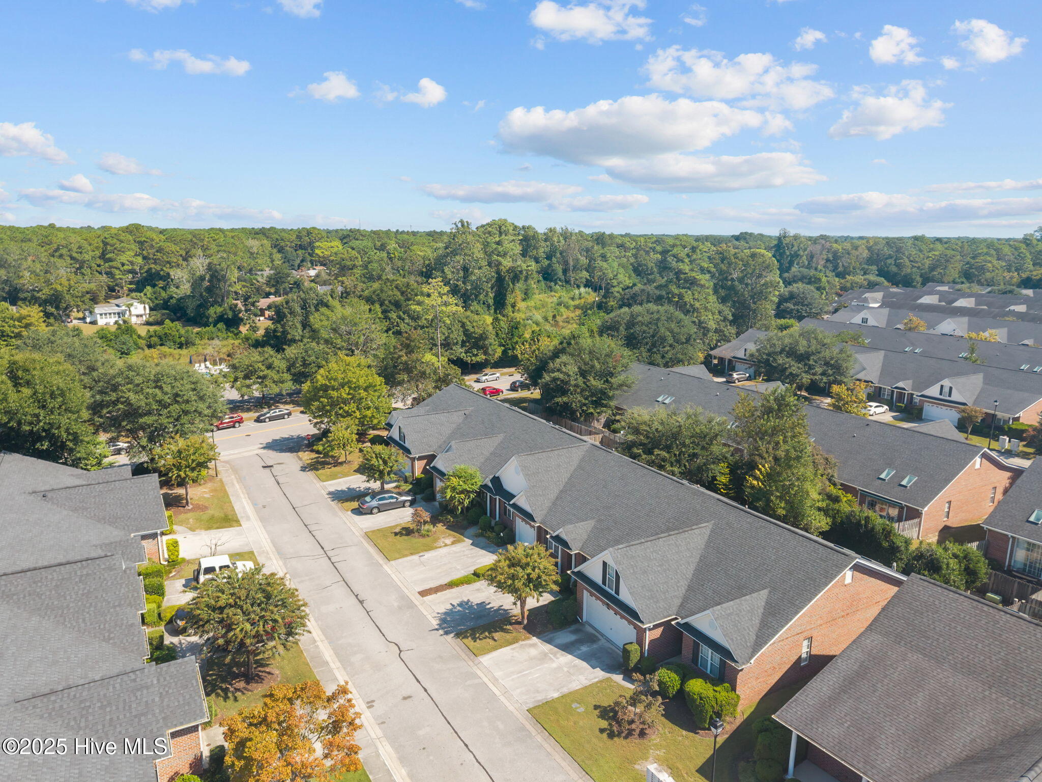 100532980 | Photo 44