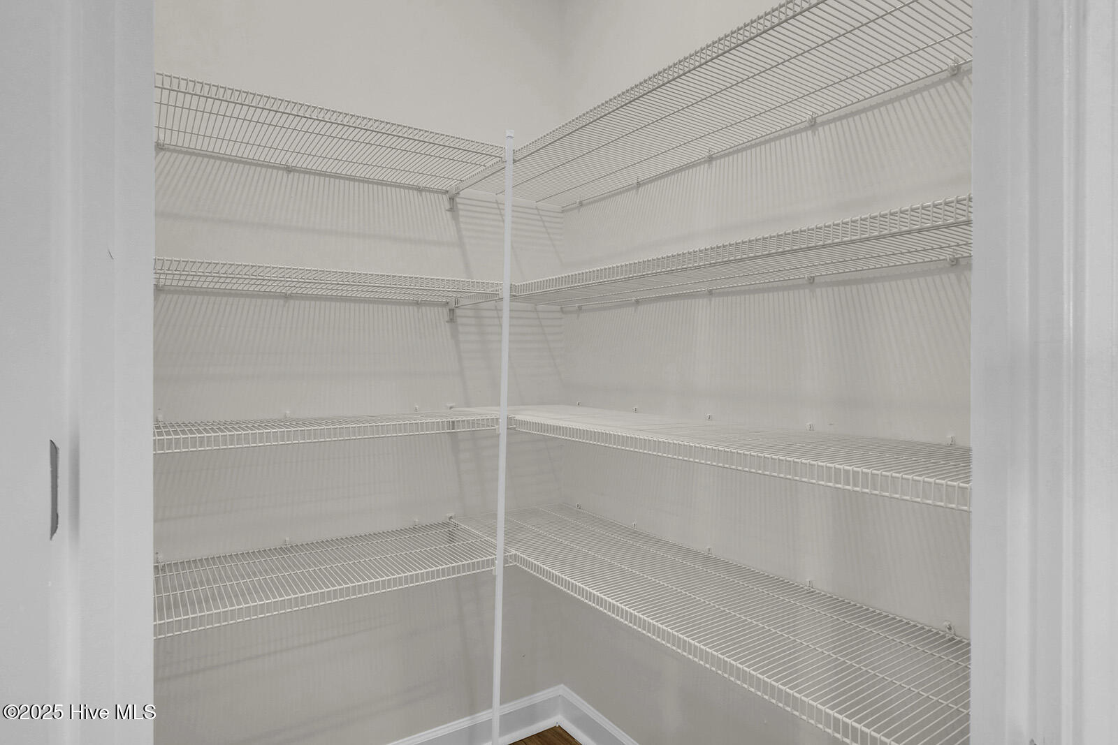 100556058 | Photo 13