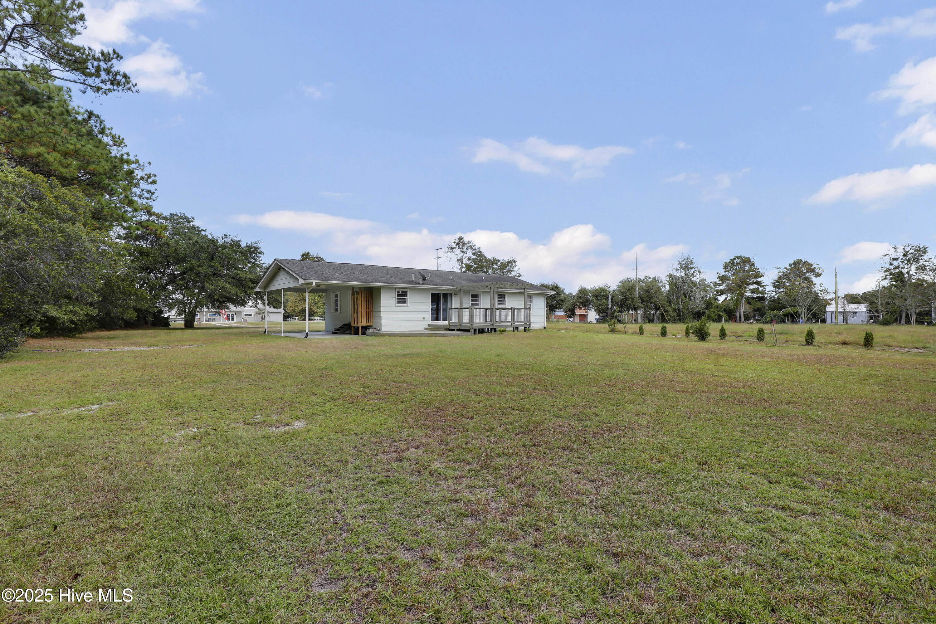 100533401 | Photo 30