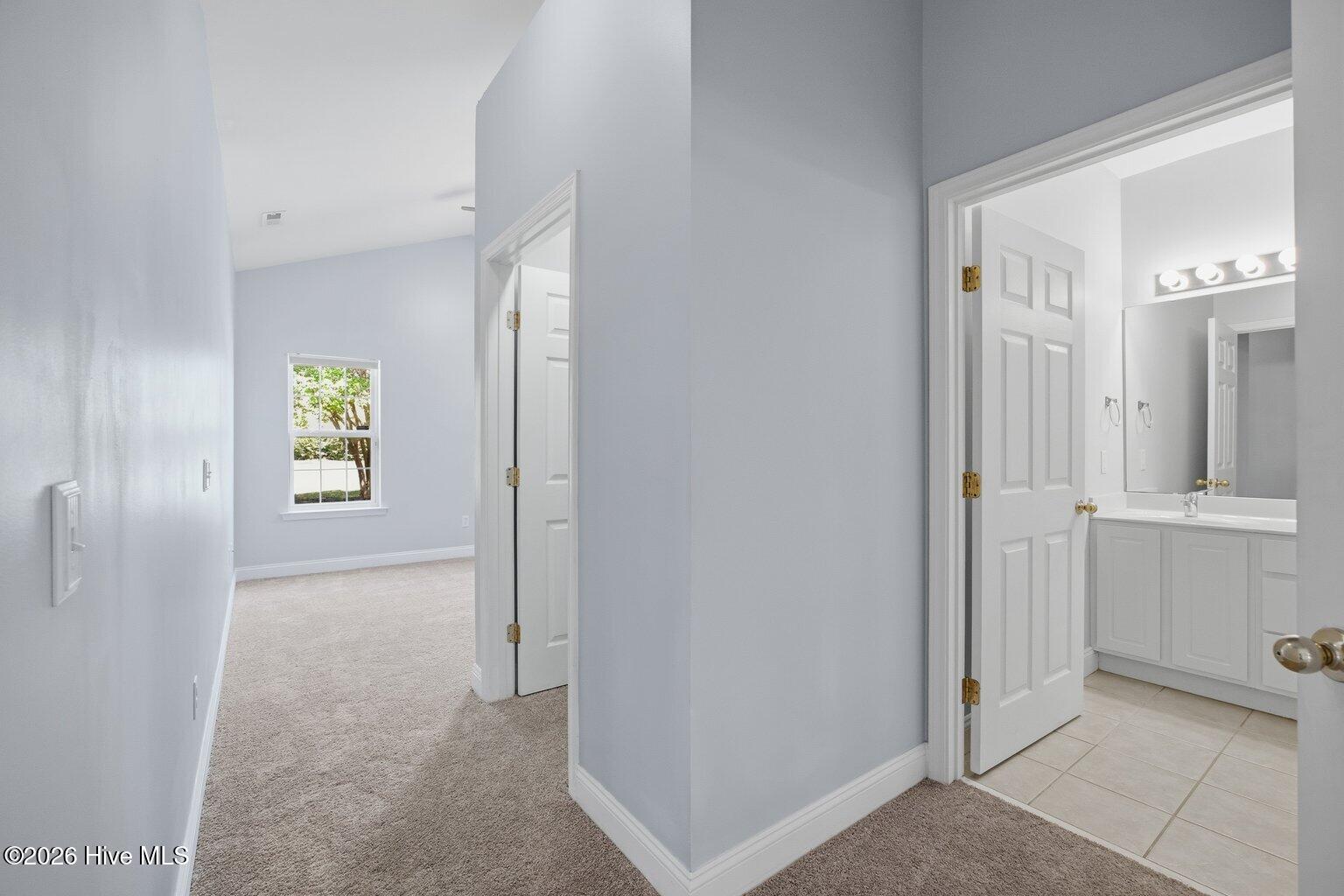 100564958 | Photo 19