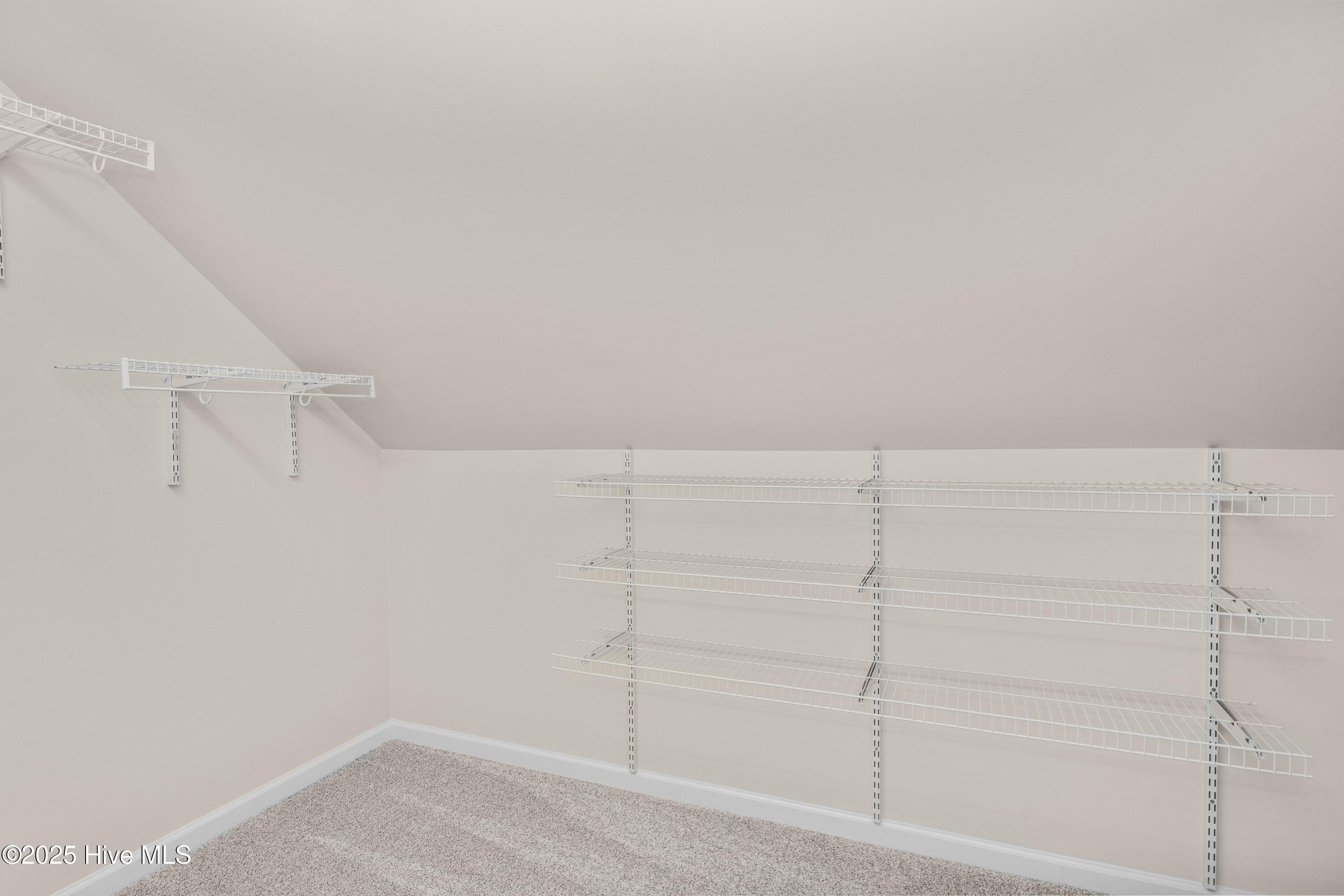 100537525 | Photo 49