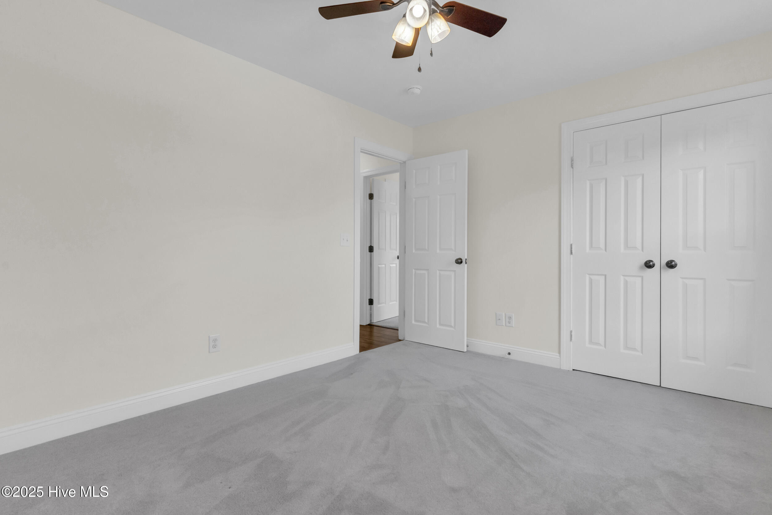 100546331 | Photo 24