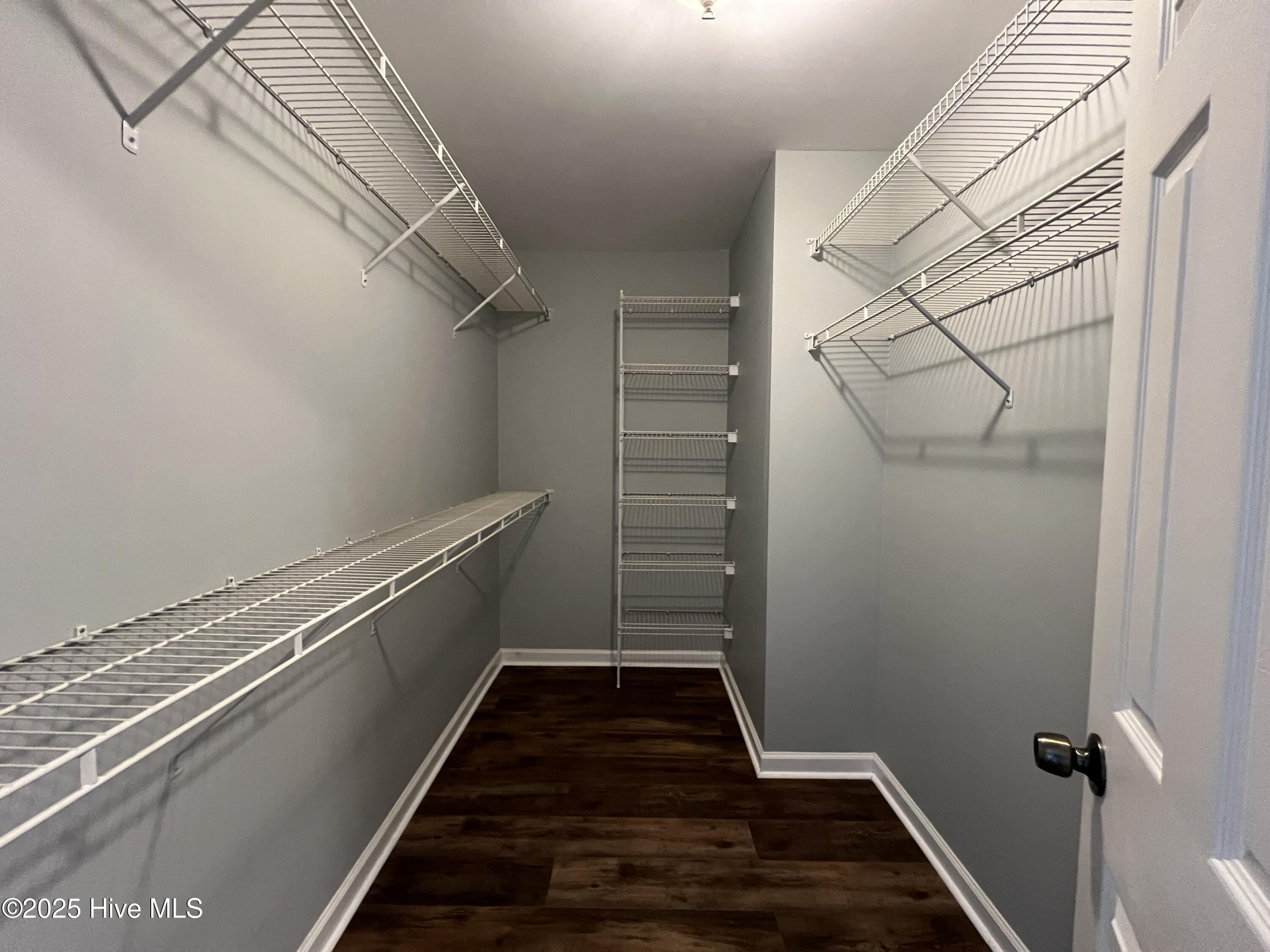 100528516 | Photo 19